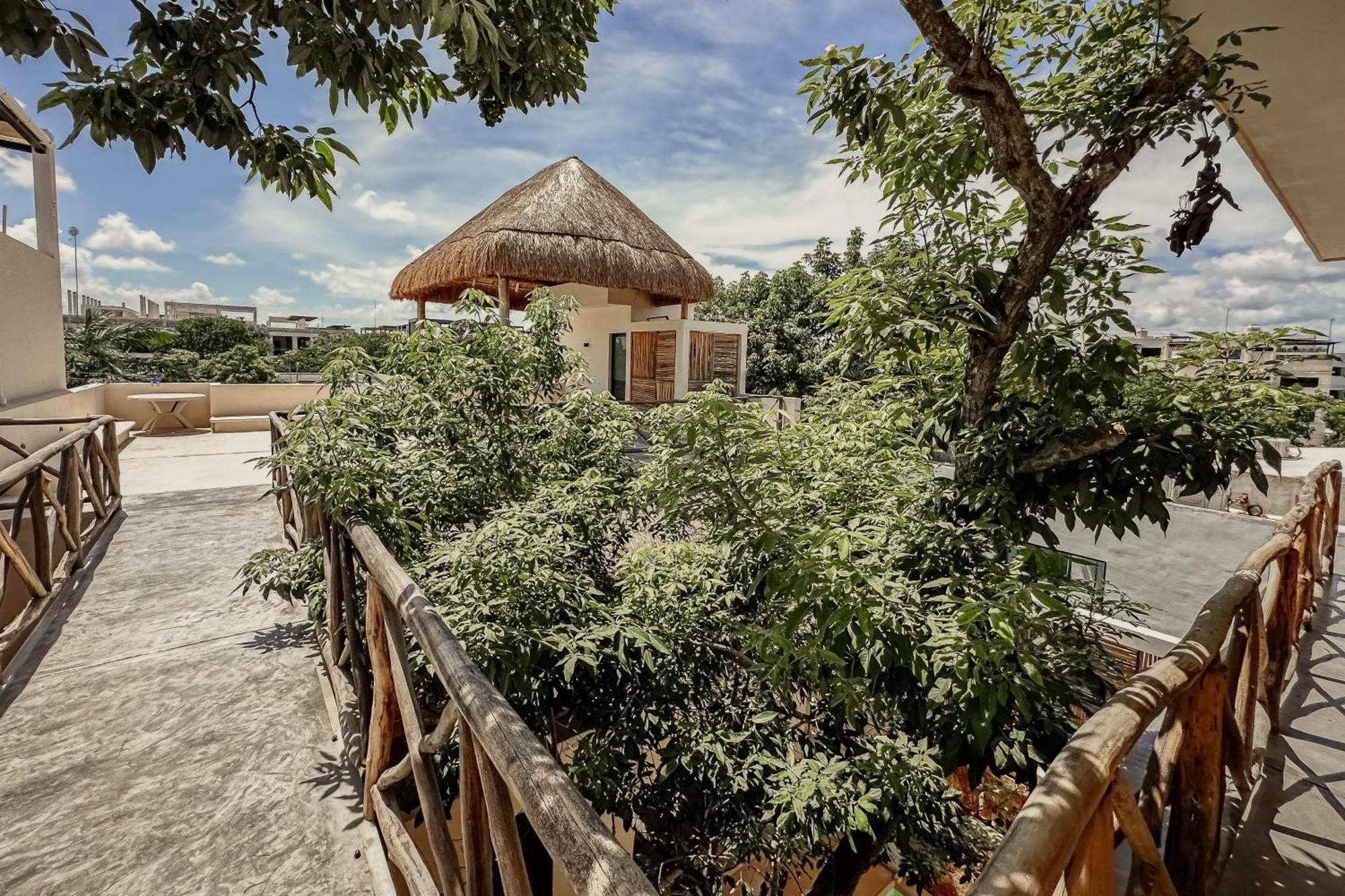 Casa Kobaab *