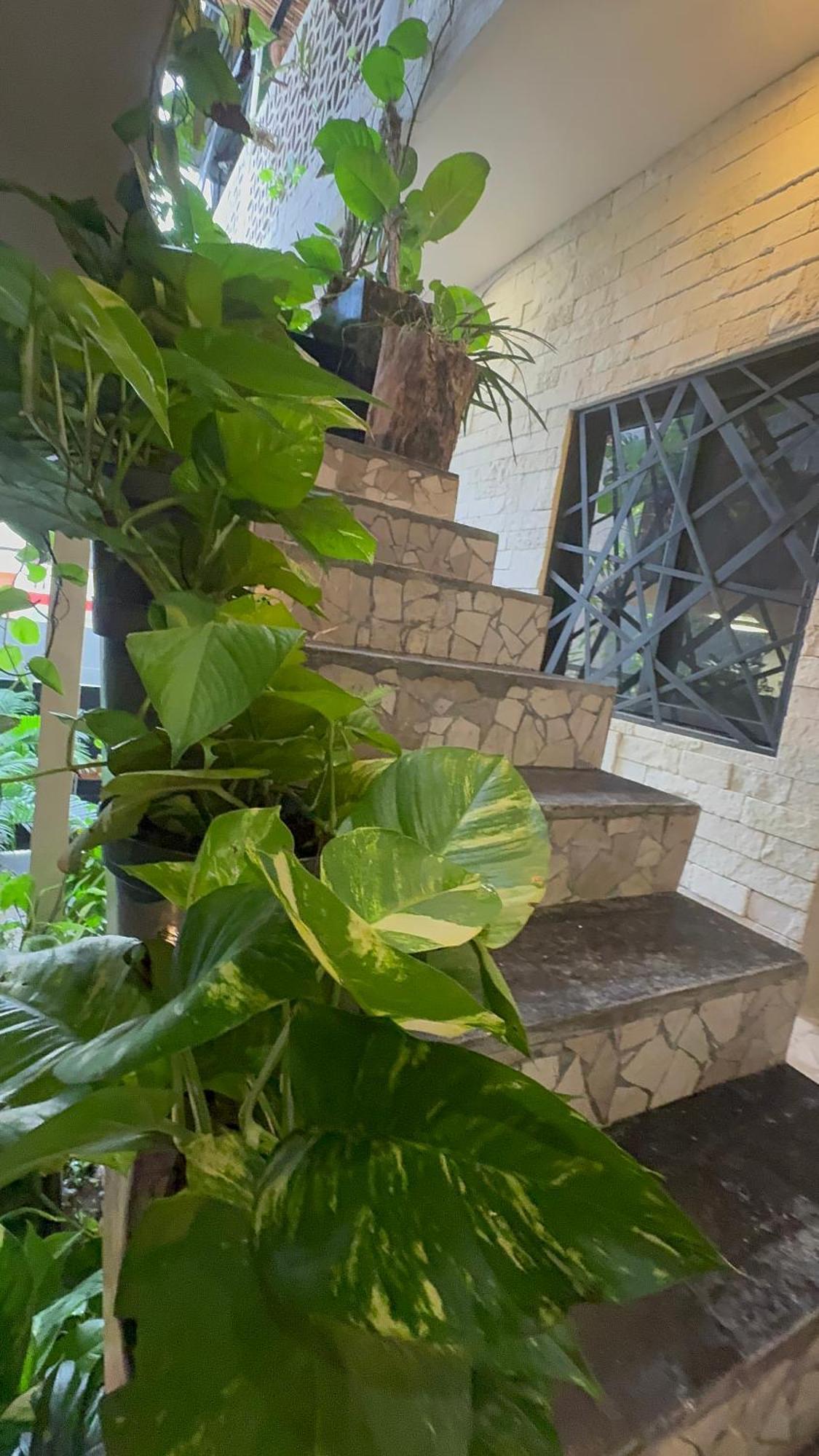 Kasa Nikte Tulum