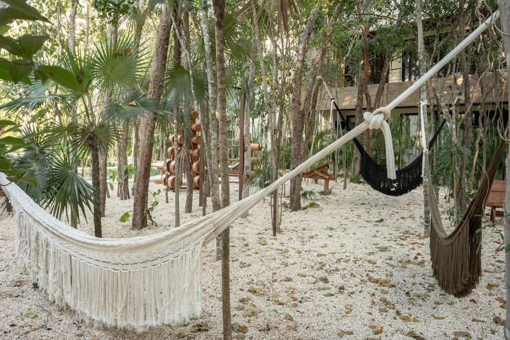 New 2 Bed And Bath - - Views To The Jungle Apartamento *