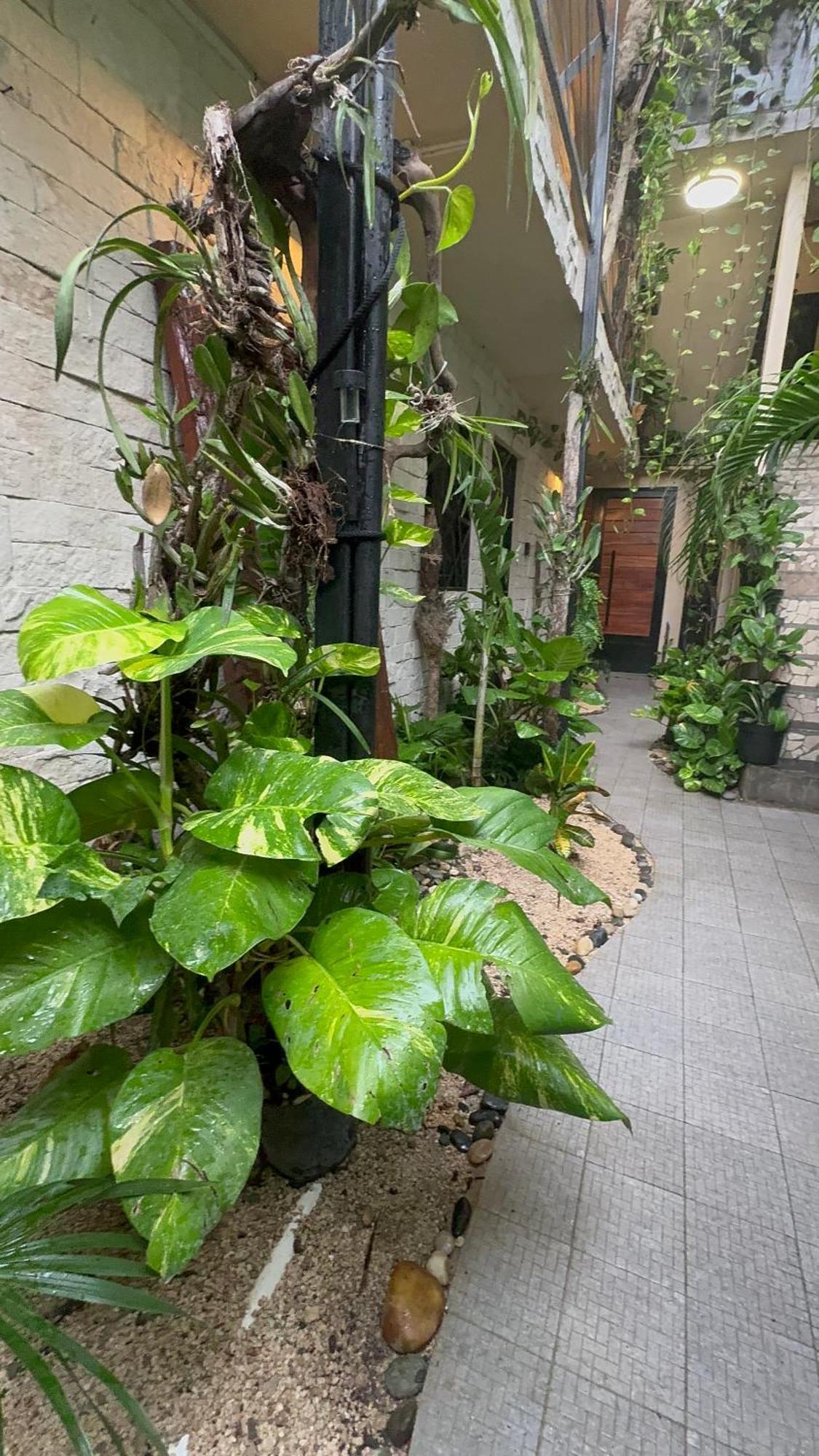 Apartamento Sencillo *