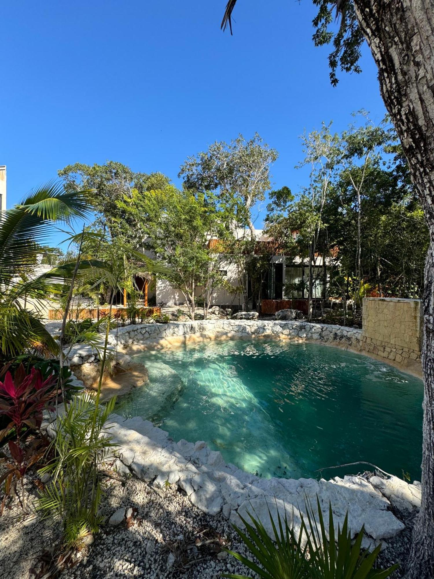 Eco-friendly En La Selva De Villa