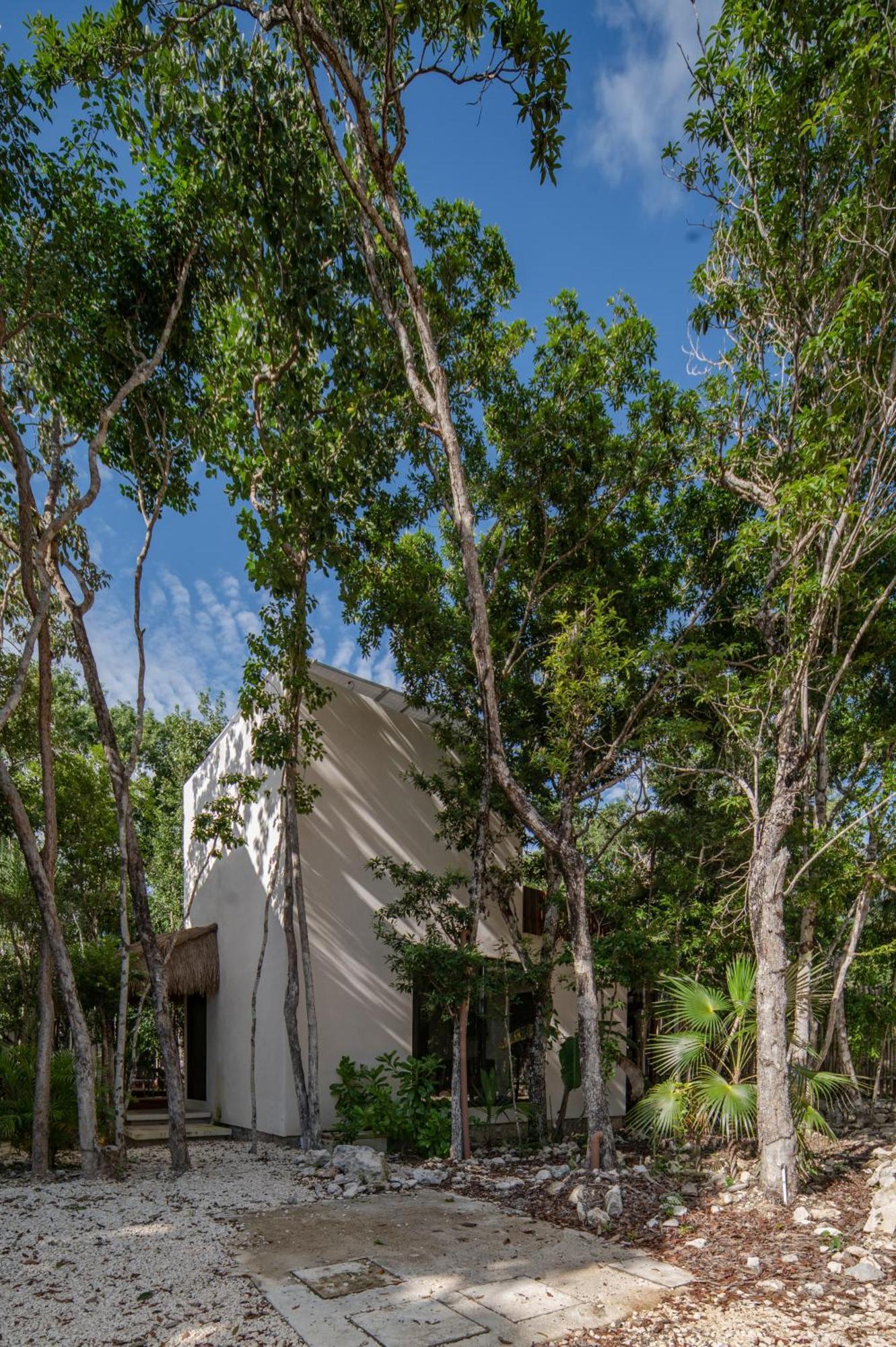 Villa Eco-friendly En La Selva De