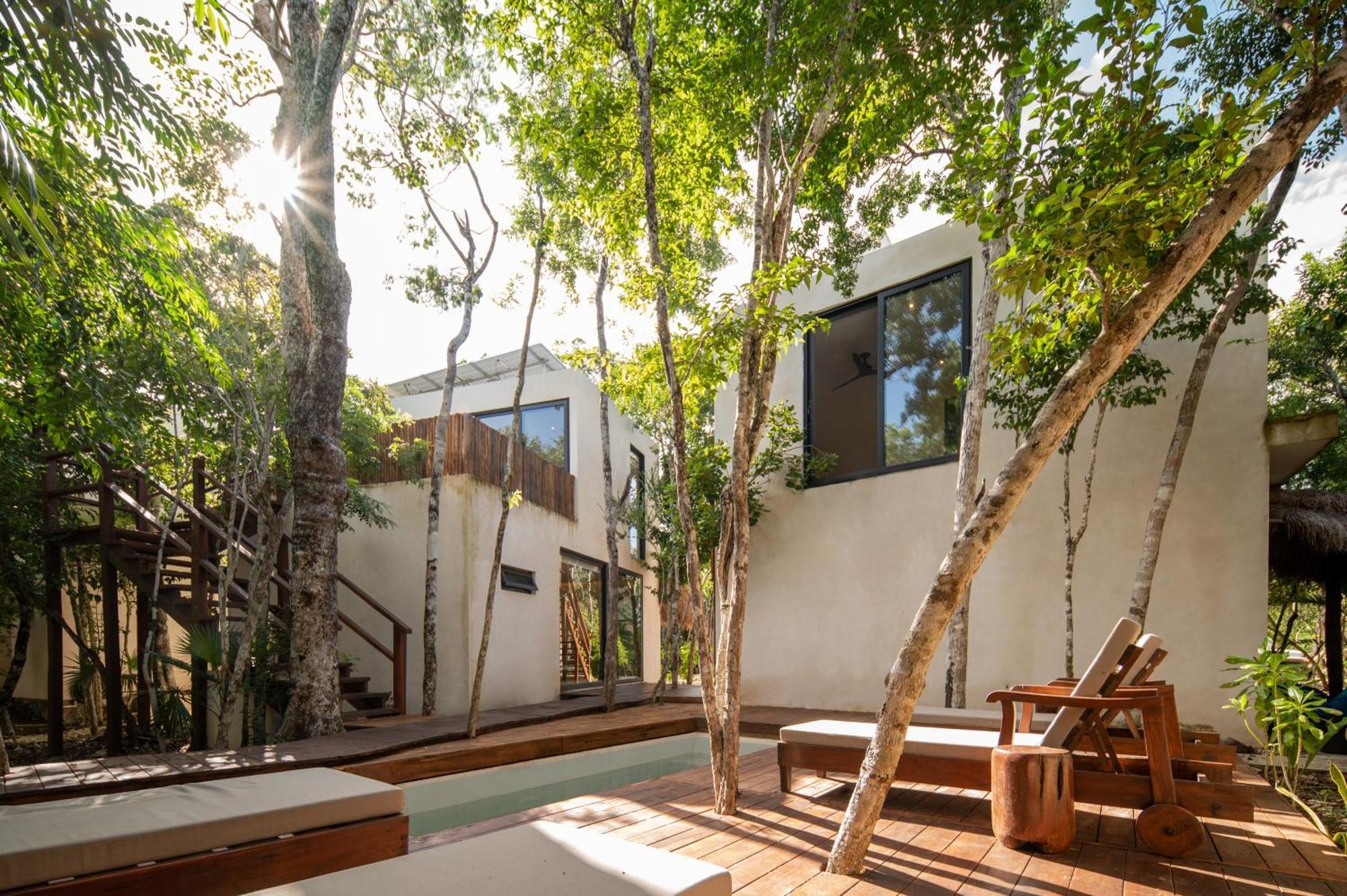 Eco-friendly En La Selva De Villa *