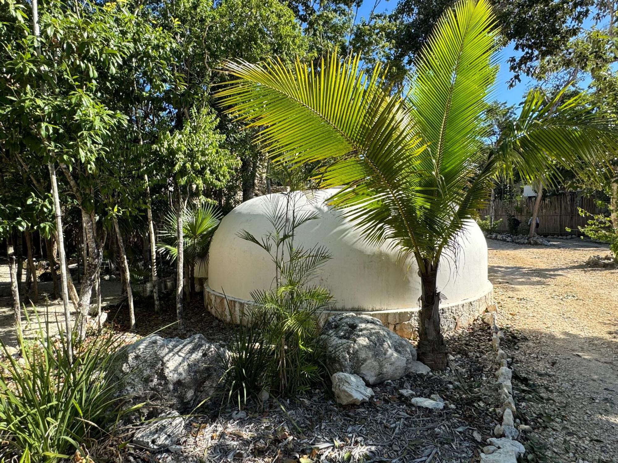 Eco-friendly En La Selva De Villa *