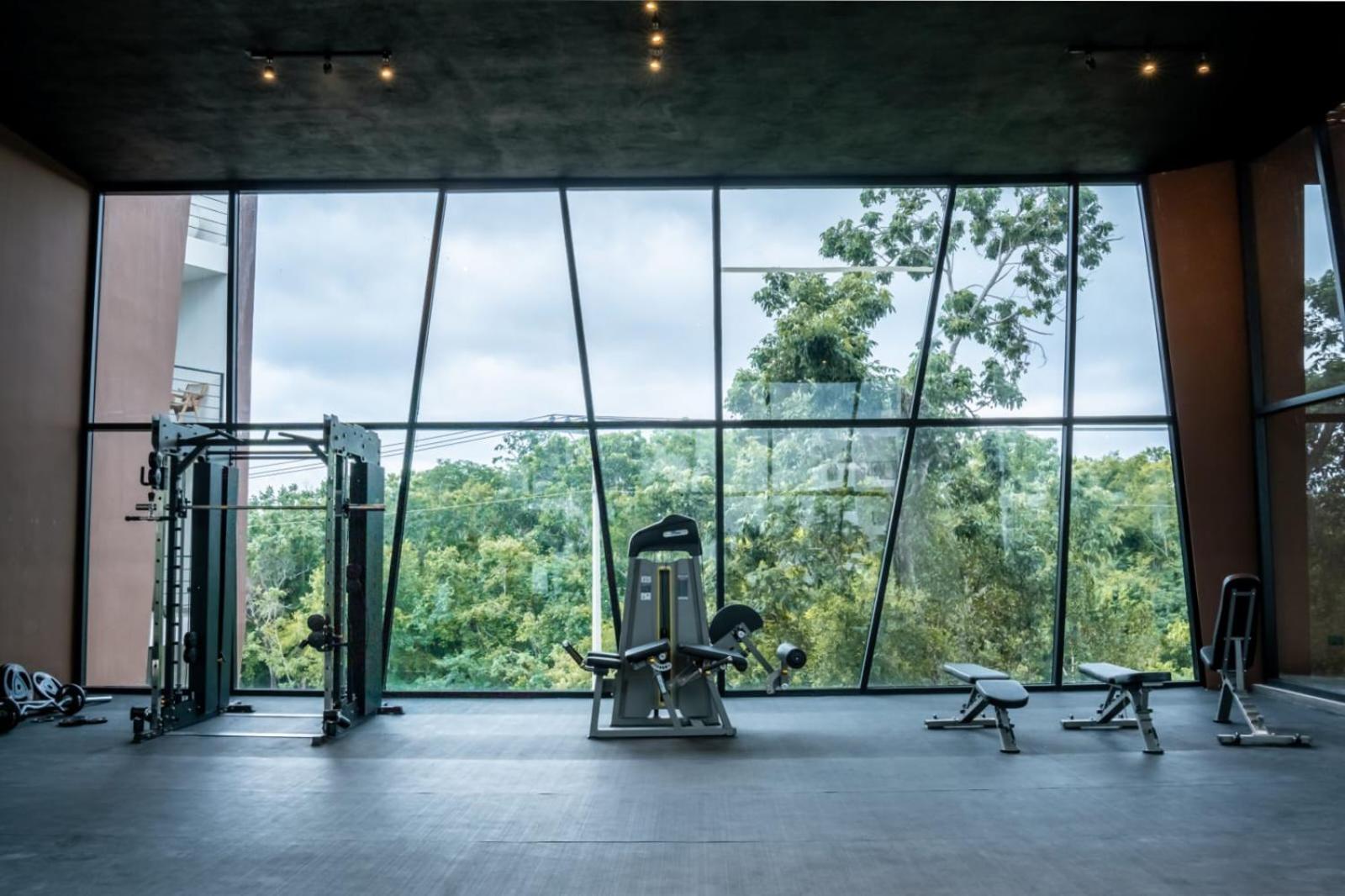 Pent House De Lujo Con Roof Privado Rodeado De Naturaleza Apartamento *