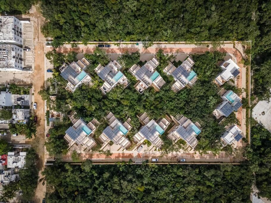 Tuane Experience Penthouses