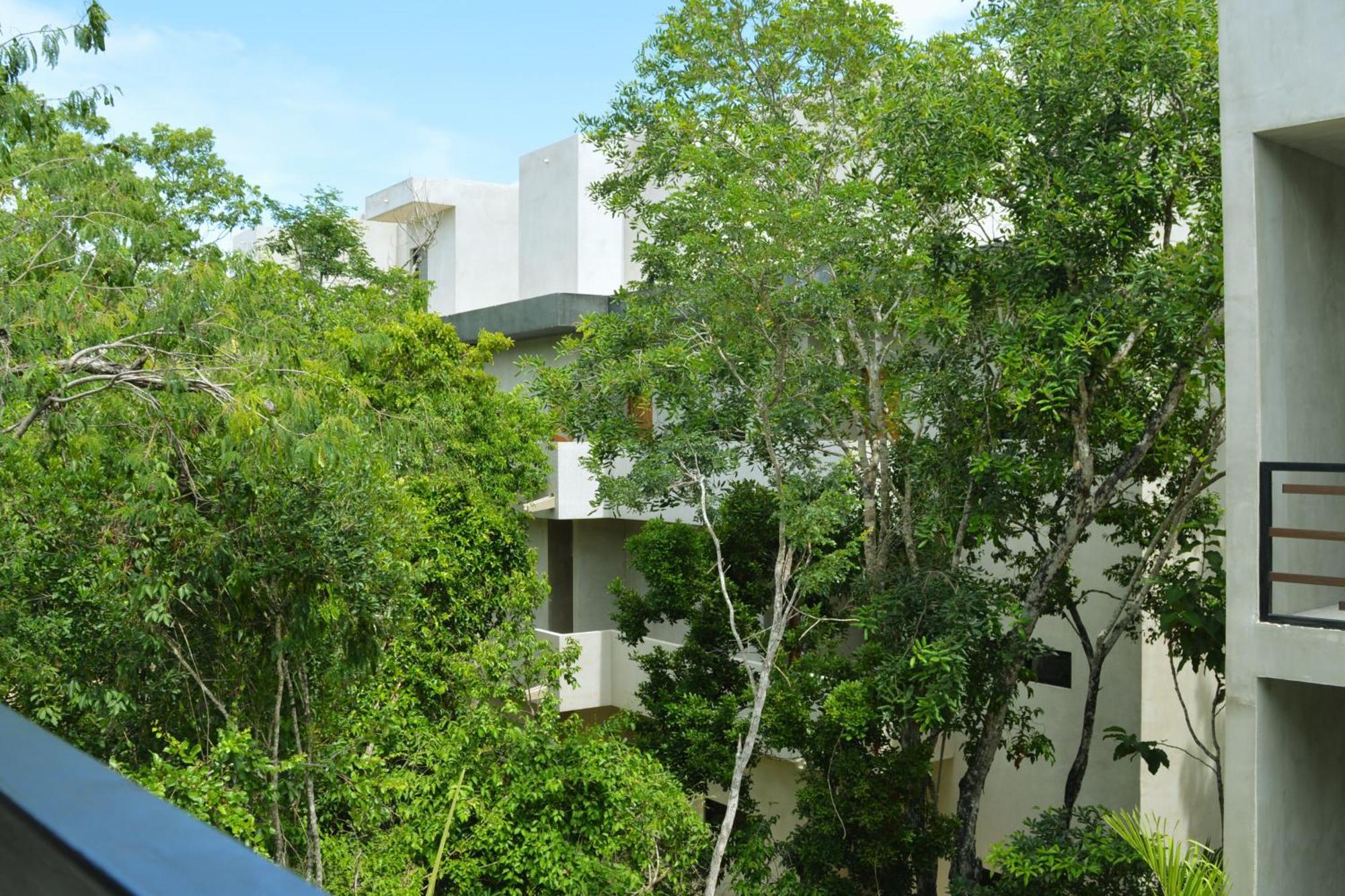 Apartment Melaan Jungle Retreat For Adventurers And Private Plunge Pool *