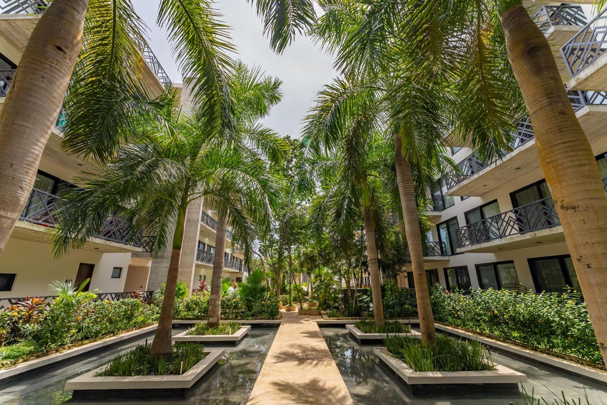 Stylish 2br Penthhouse, Private Terrace, Grill And Pool * Tulum