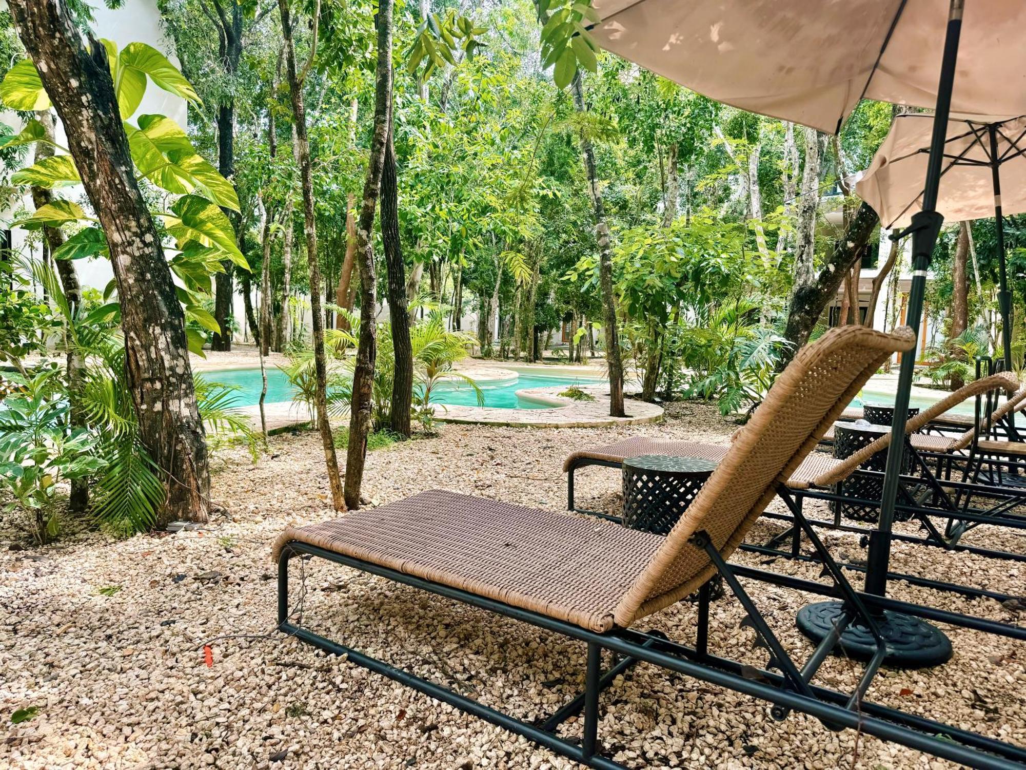 Apartamento Jungle 10 Mins To Beaches Y Trendy Hotspots *