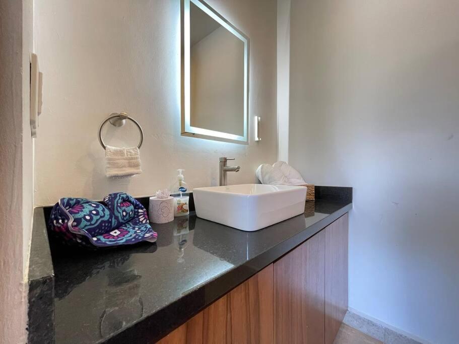 Caracol Garden In Forest Nook Apartamento