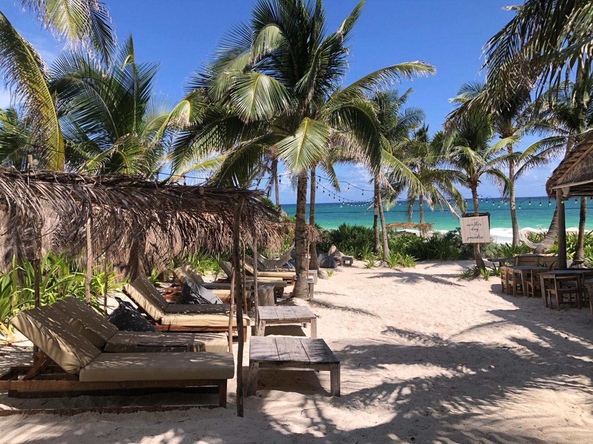 Modern With Rooftop Pool In Downtown Apartamento Tulum