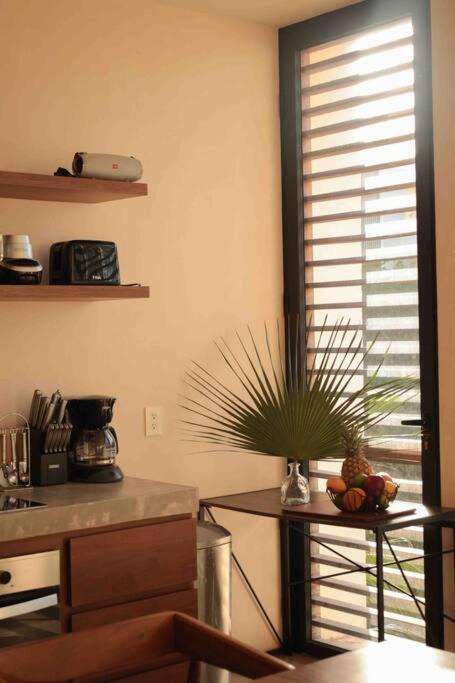 Stunning 2 Bd Ph W Private Pool * Tulum