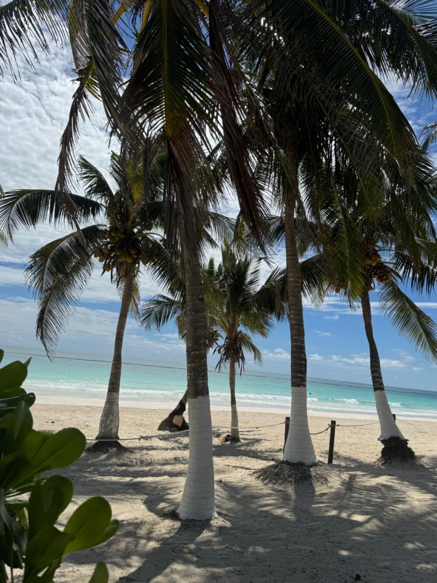 El Paraiso