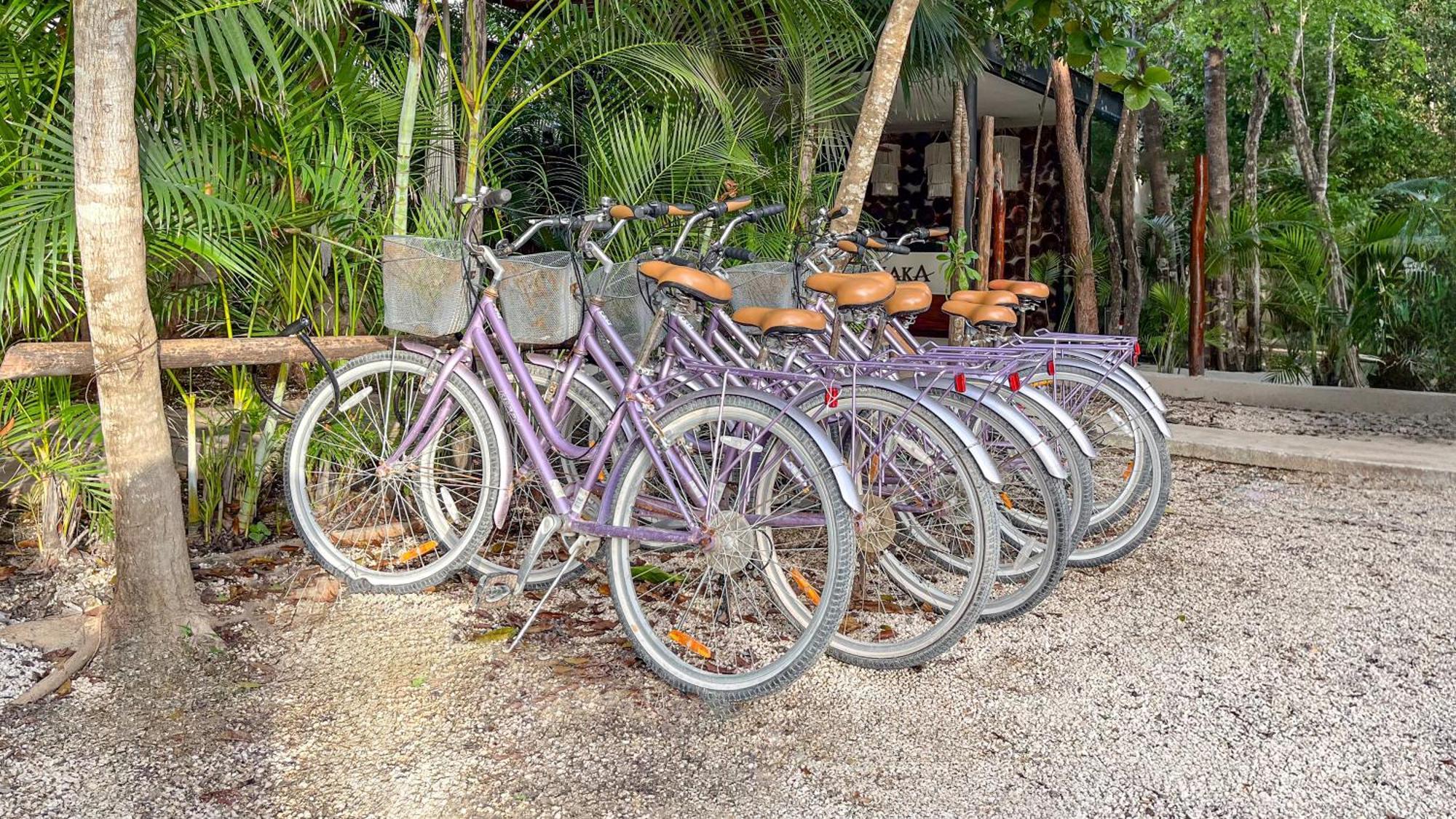 Amaka Calma Tulum