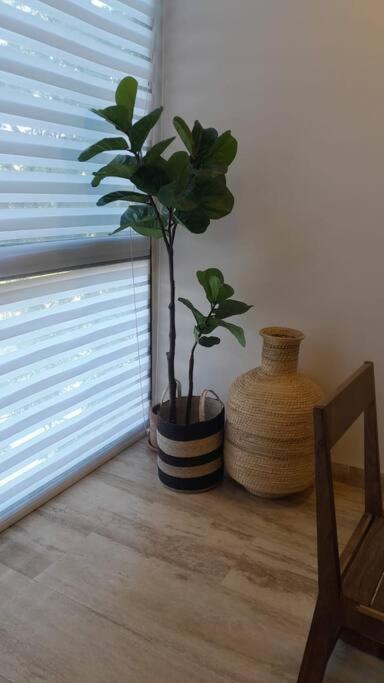 Hermoso Y Acogedor 2 Bedroom En Ar Aldea Zama *