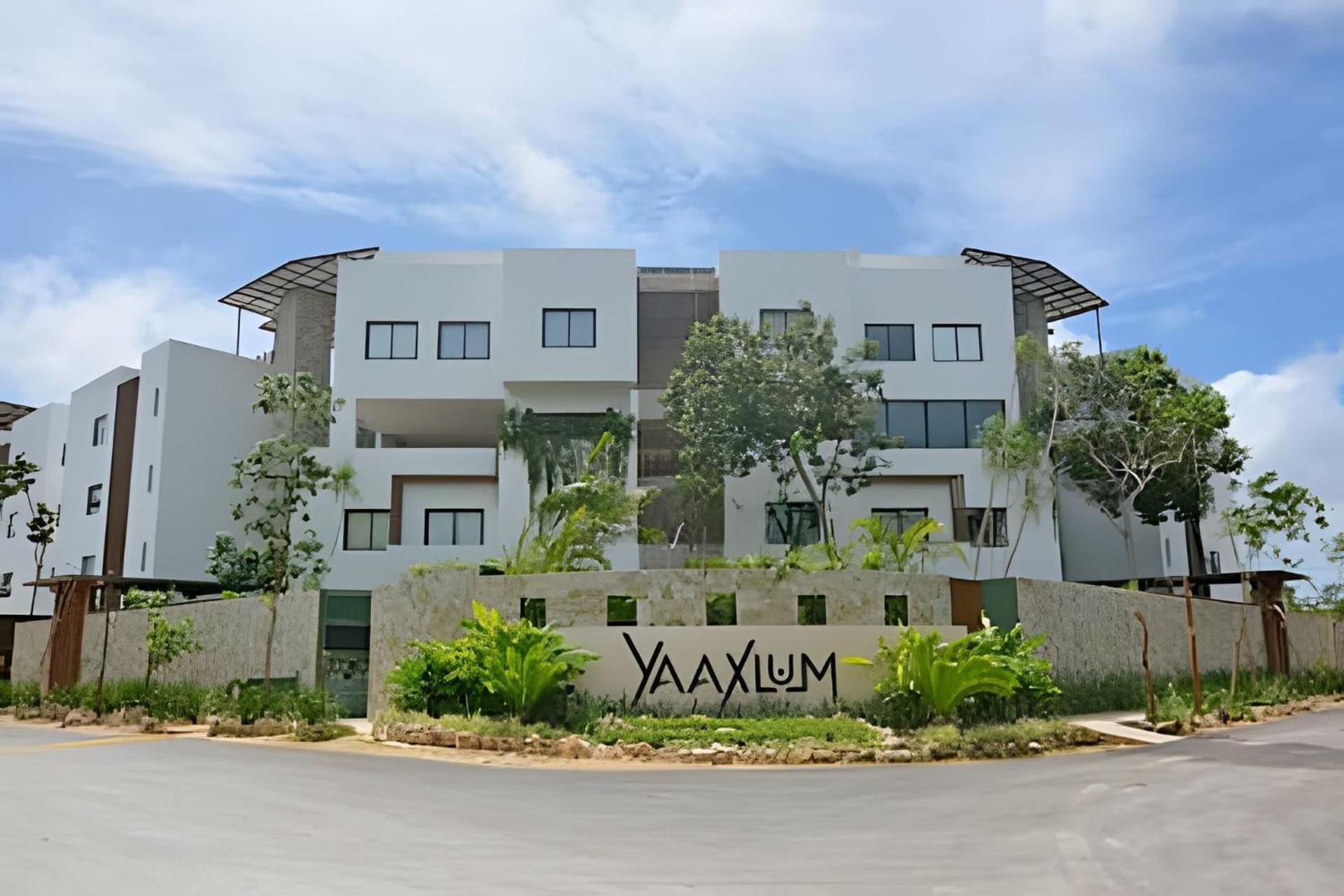 Oasis Yaaxlum Tulum