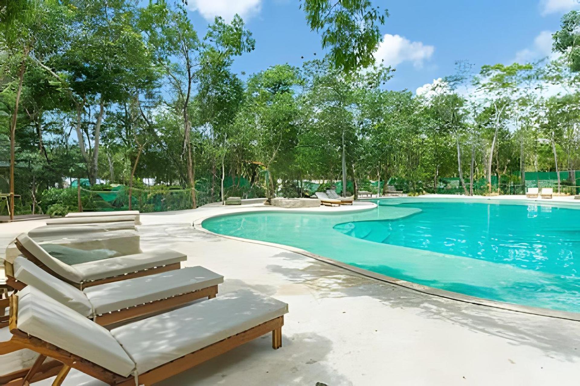 Oasis Yaaxlum