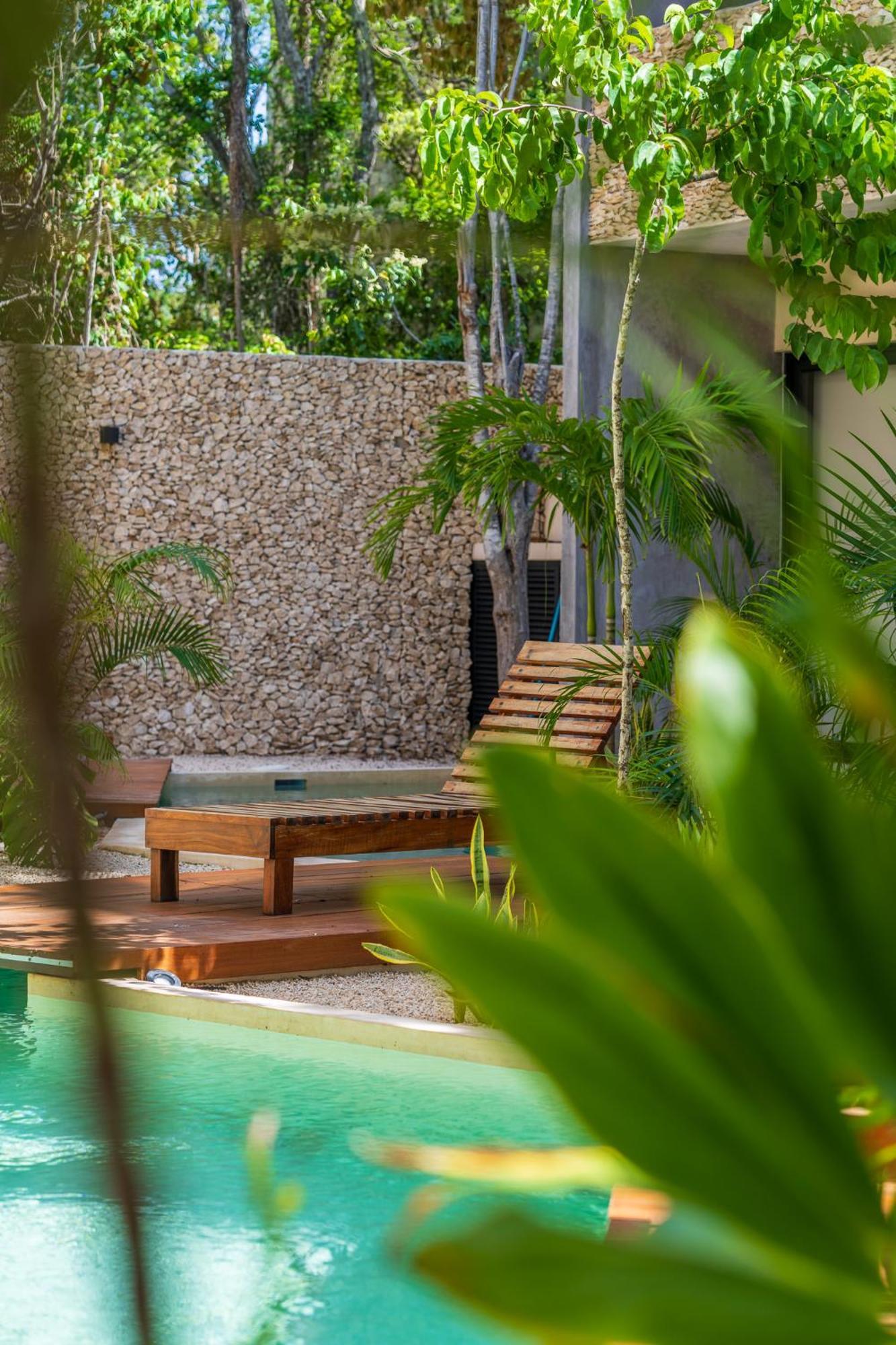 *jungle Ph W/pool, Close To Downtown & Apartamento