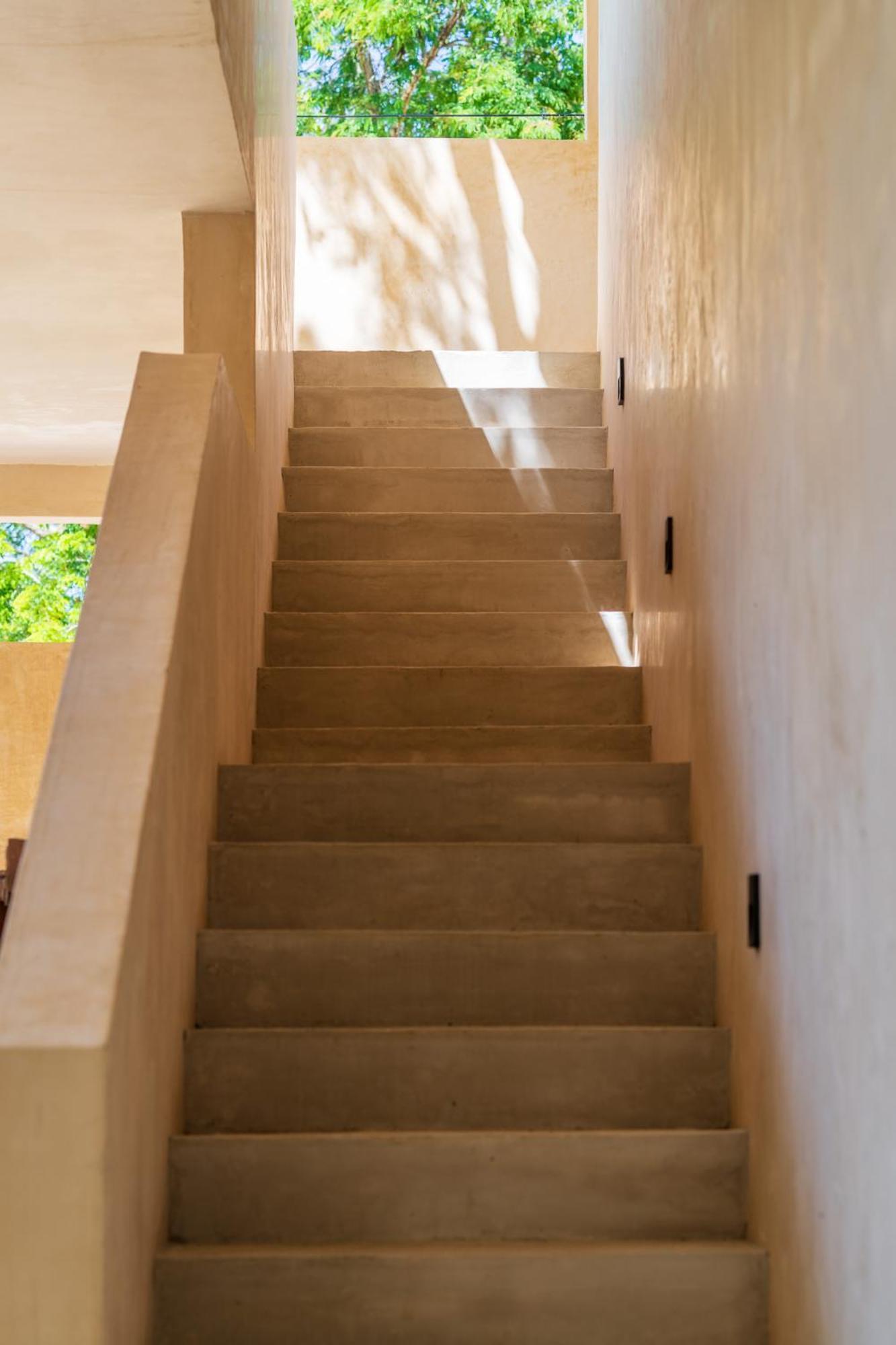 Apartamento *jungle Ph W/pool, Close To Downtown & Tulum