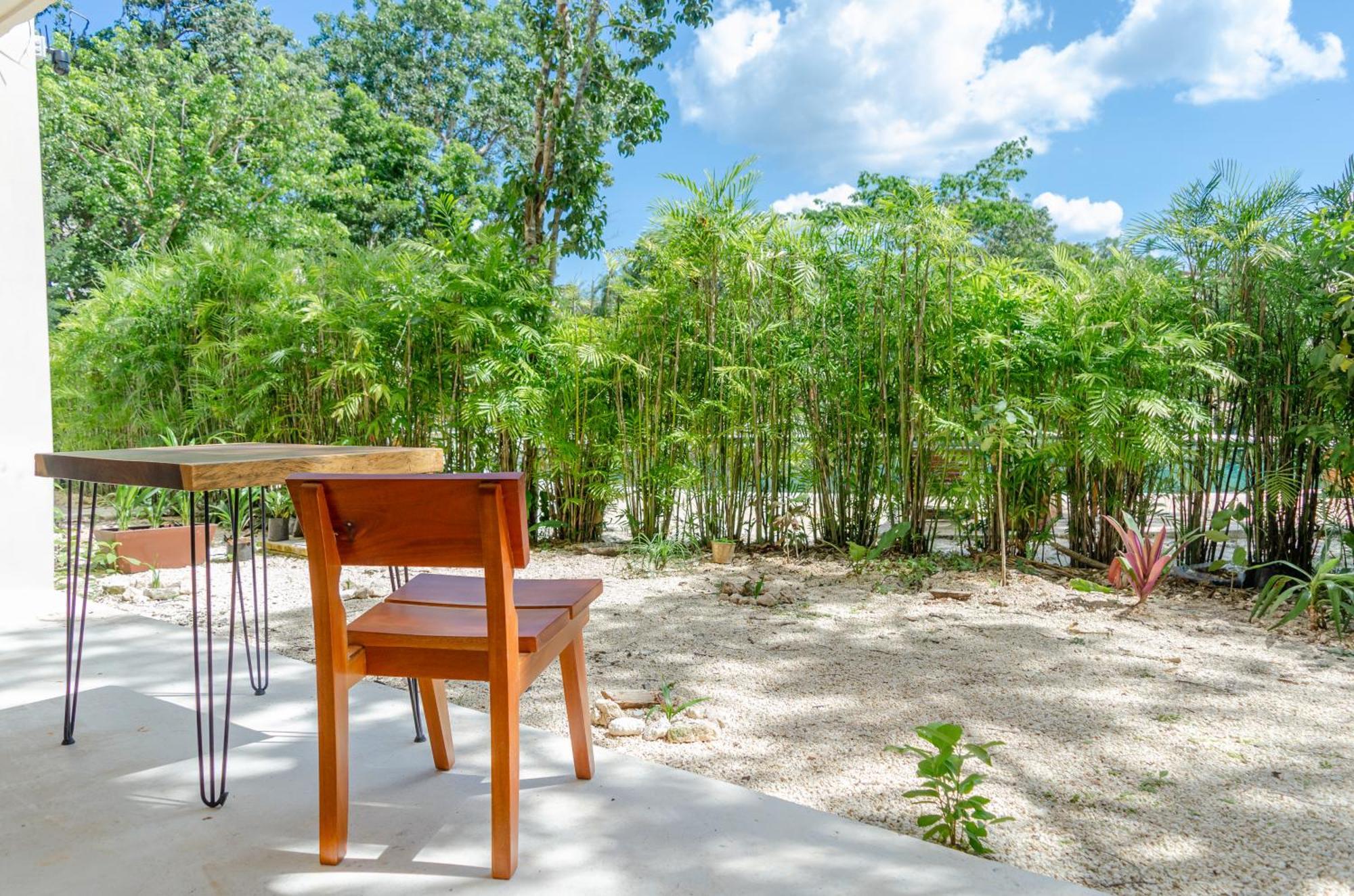 Selva Norte Tulum