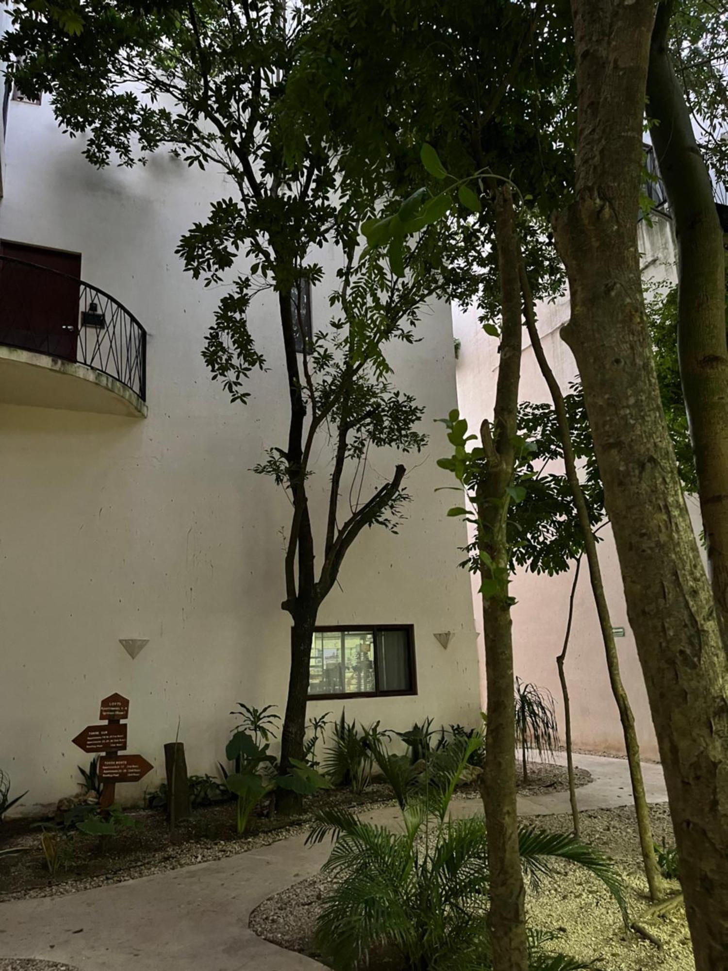 Apartamento Centrico Y Espacioso *
