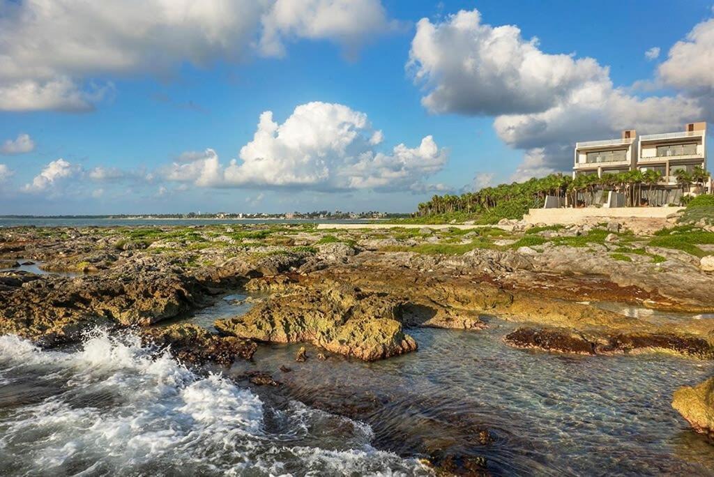 Oceanview 4br Concierge Service * Tulum