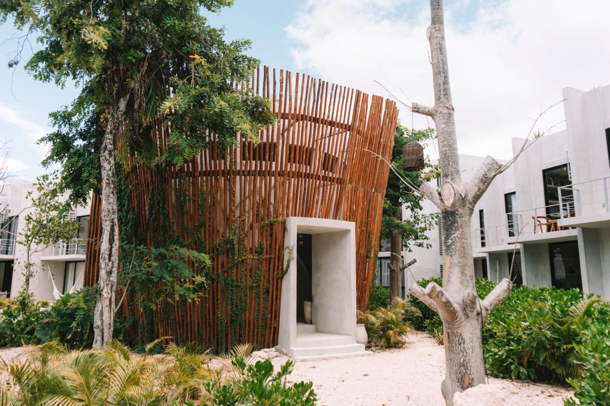 Seremonia Selva By Dream Vacay * Tulum