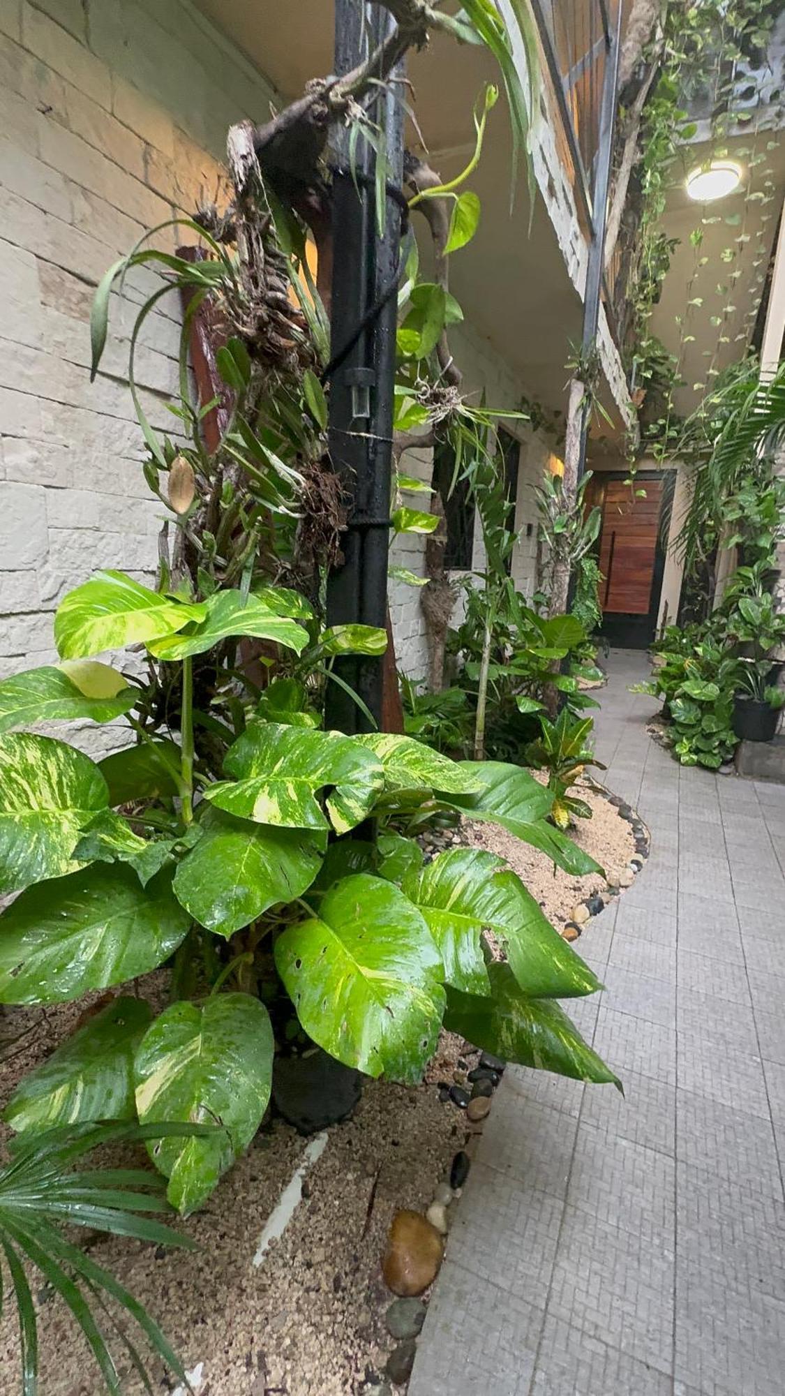 Estudio Centrico Apartamento *