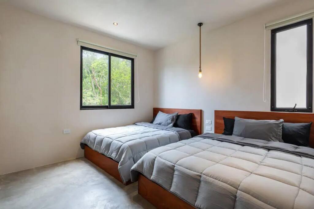 Casa Cedra *