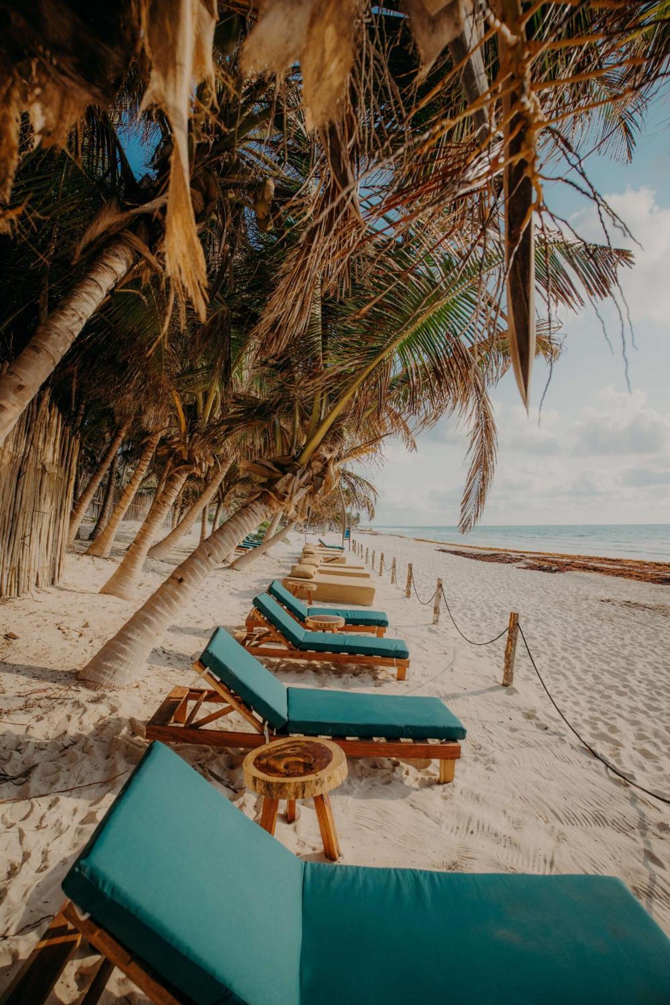 Bright & Centric With Rooftop Pool In Downtown * Tulum