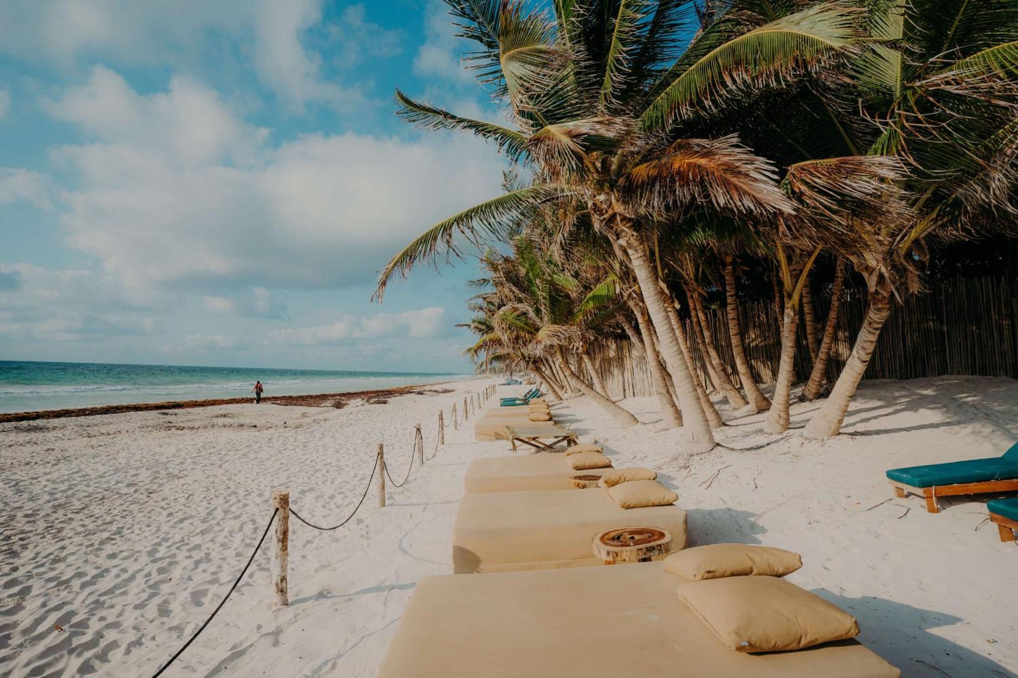 Premium With Pools, Gym, Yoga Deck & Bbq Grill In Gated Apartamento Tulum