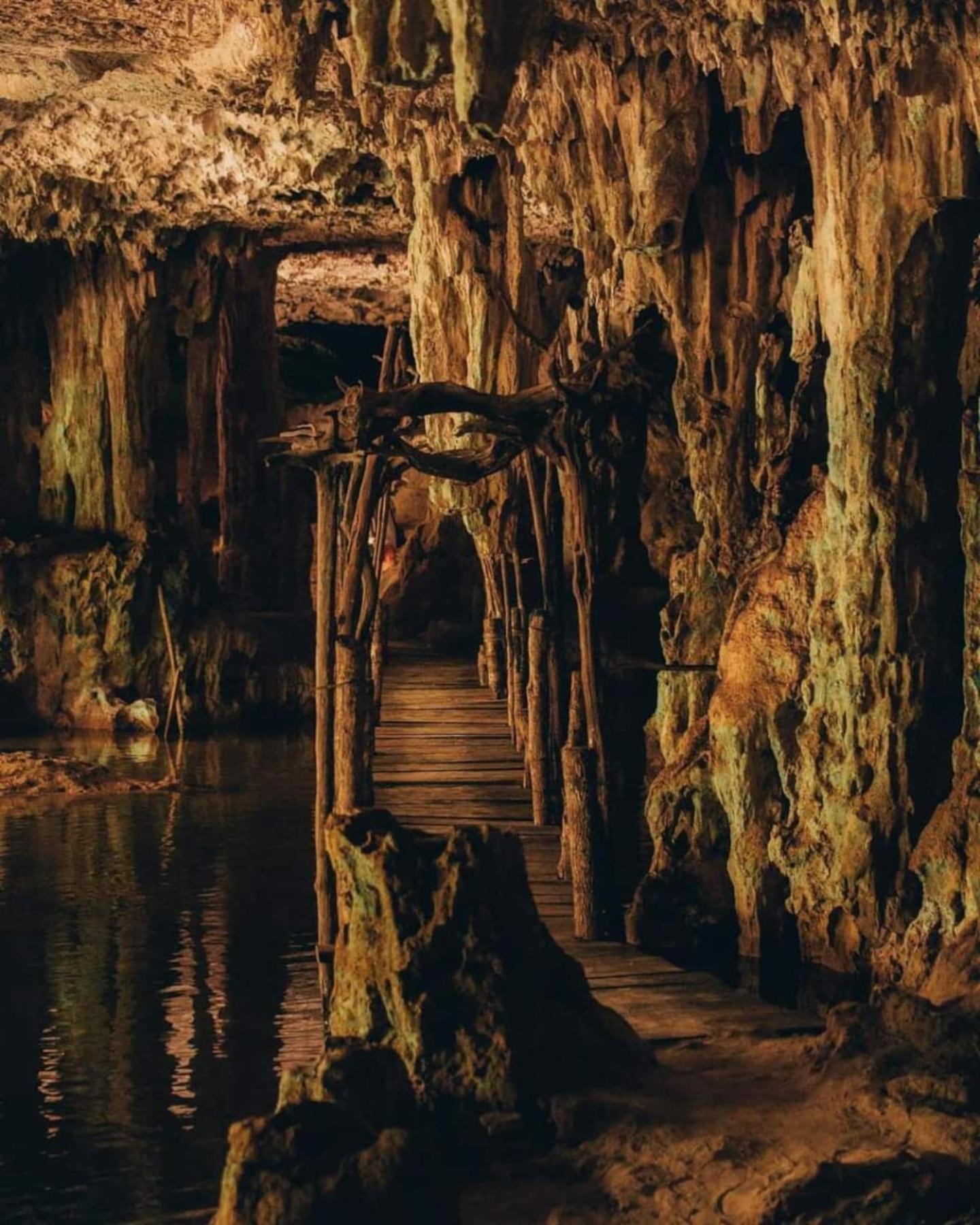 Loft In Cenotes Natural Park