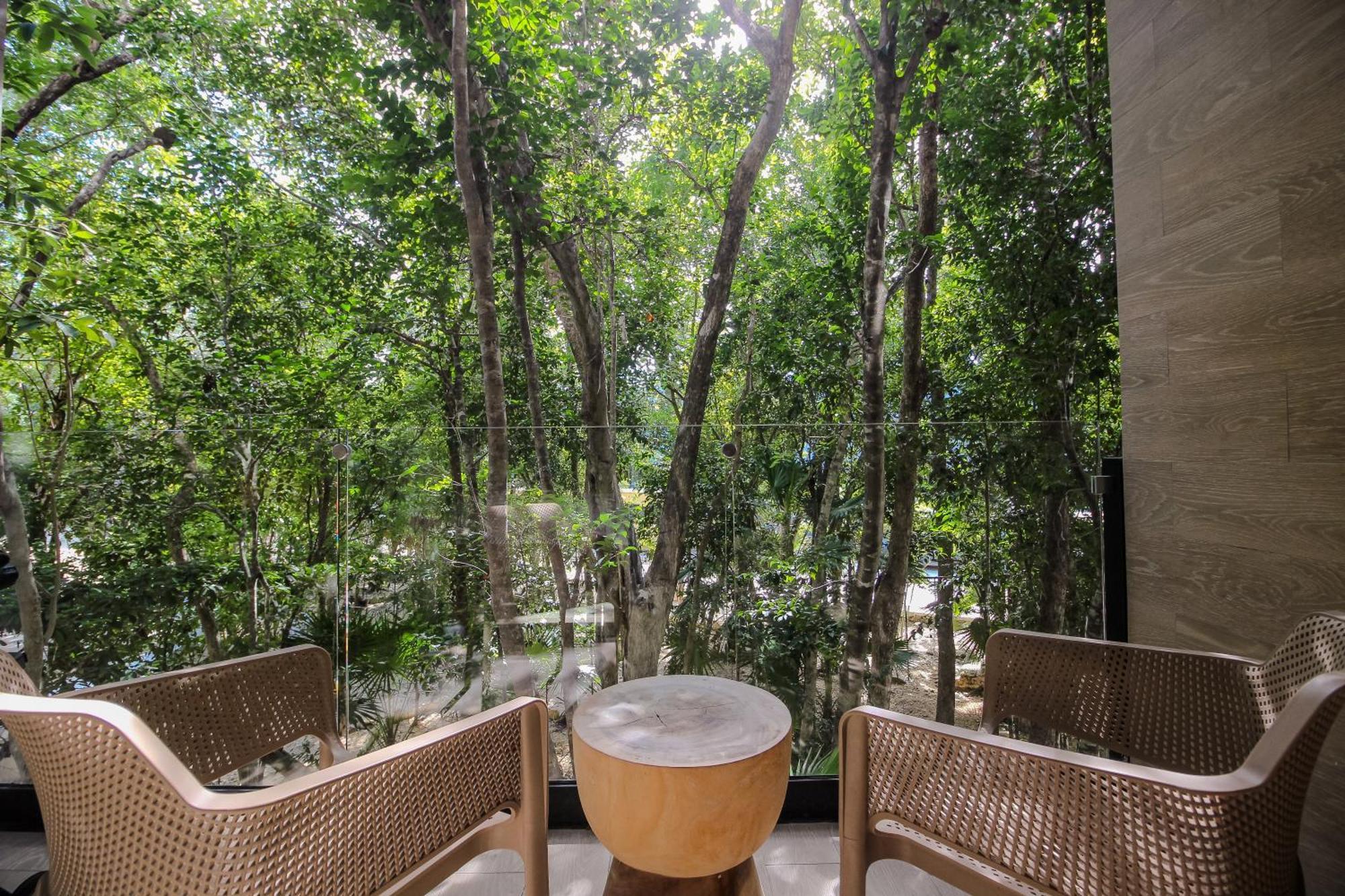 Luxury With Rooftop Pool In Location Tulum