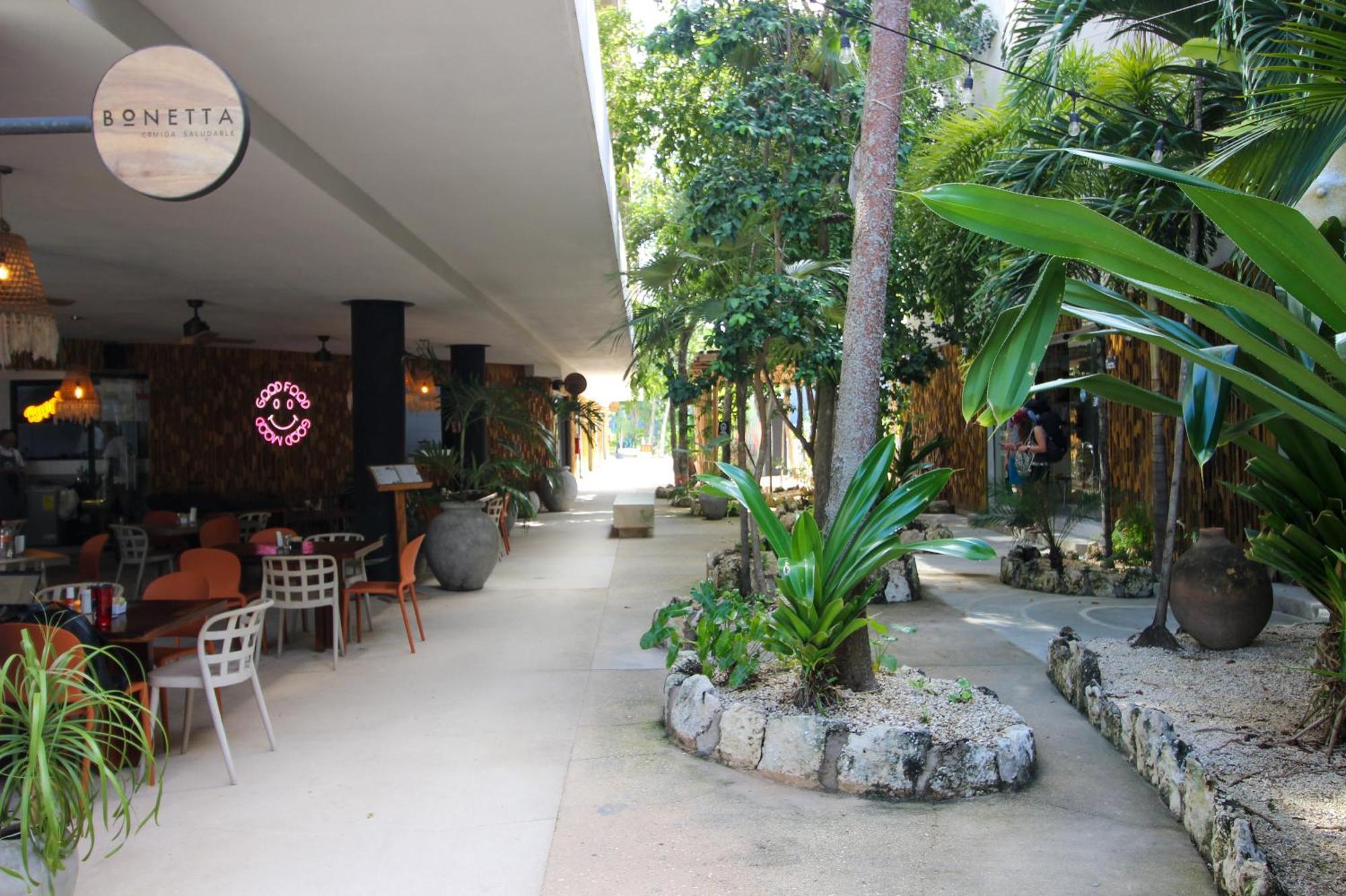 Luxury With Rooftop Pool In Location Tulum