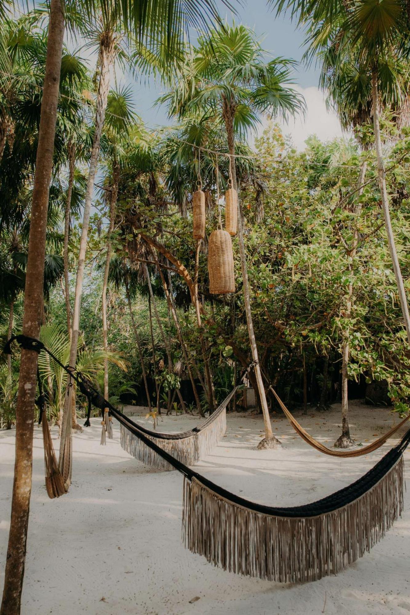 Casa Felipa Chic Jungle Retreat With Private Pool *