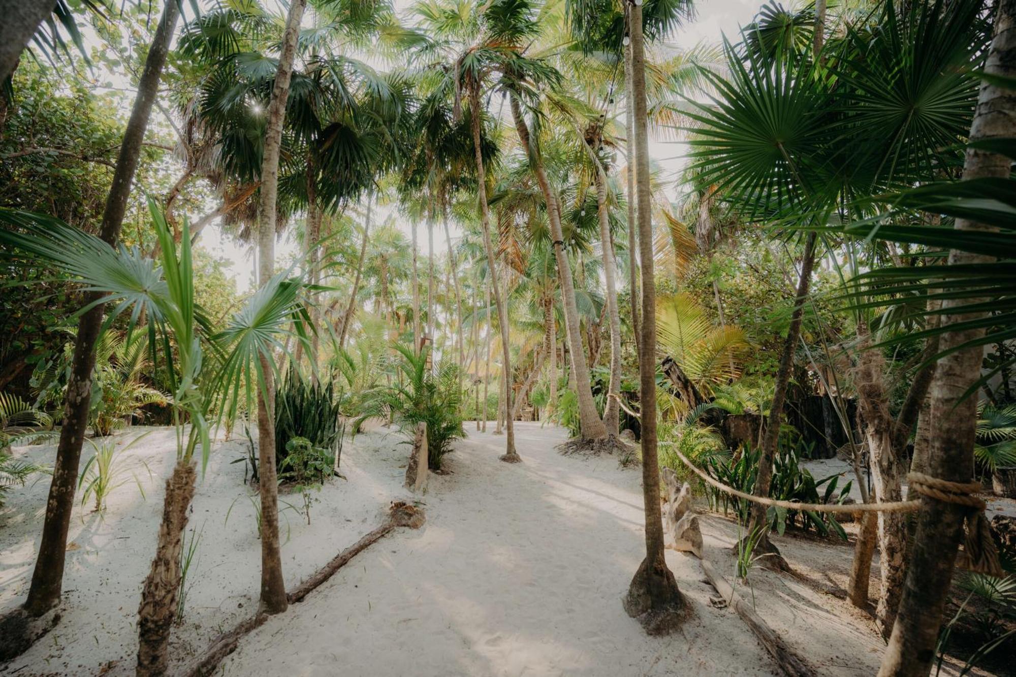 Casa Felipa Chic Jungle Retreat With Private Pool * Tulum