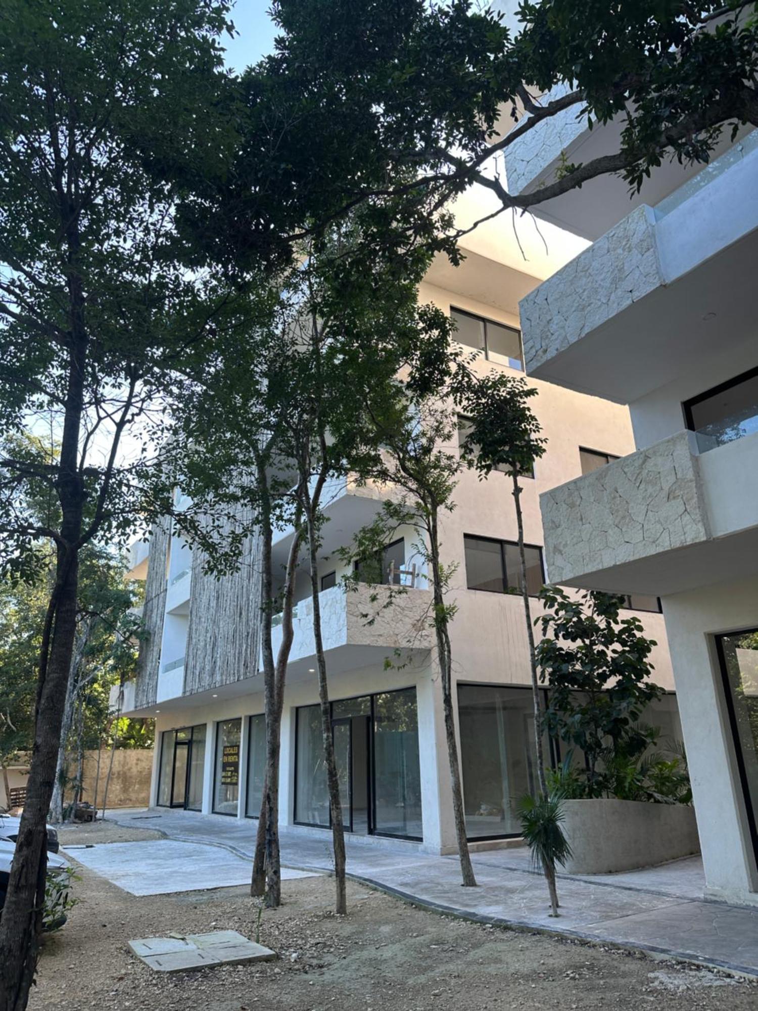 Apartamento Natural Mystique