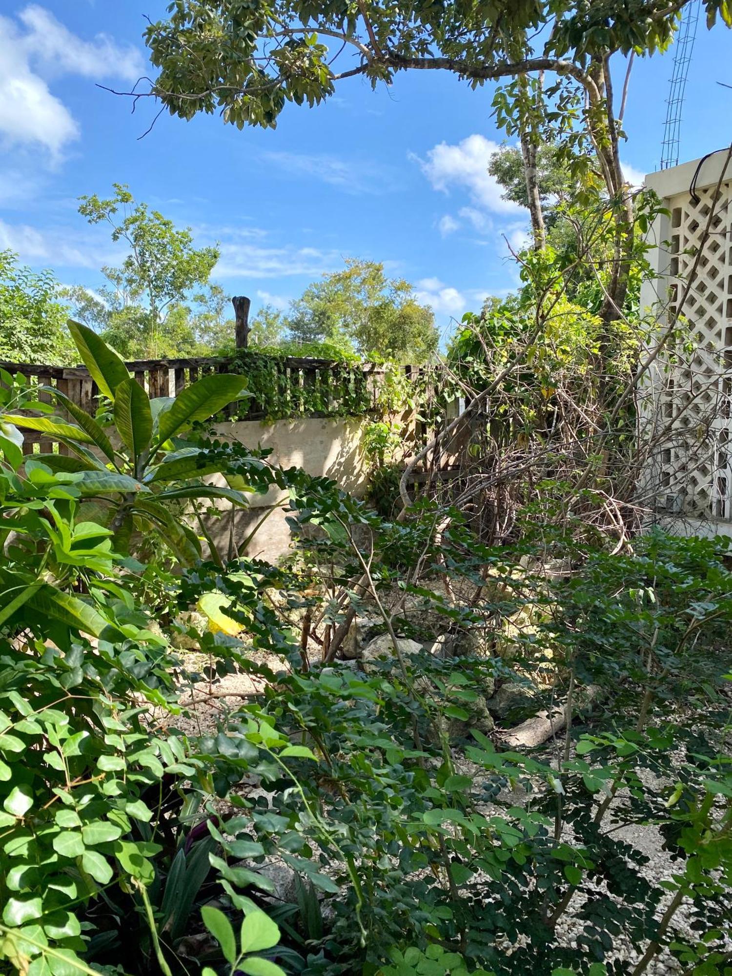 Casa Kuma * Tulum