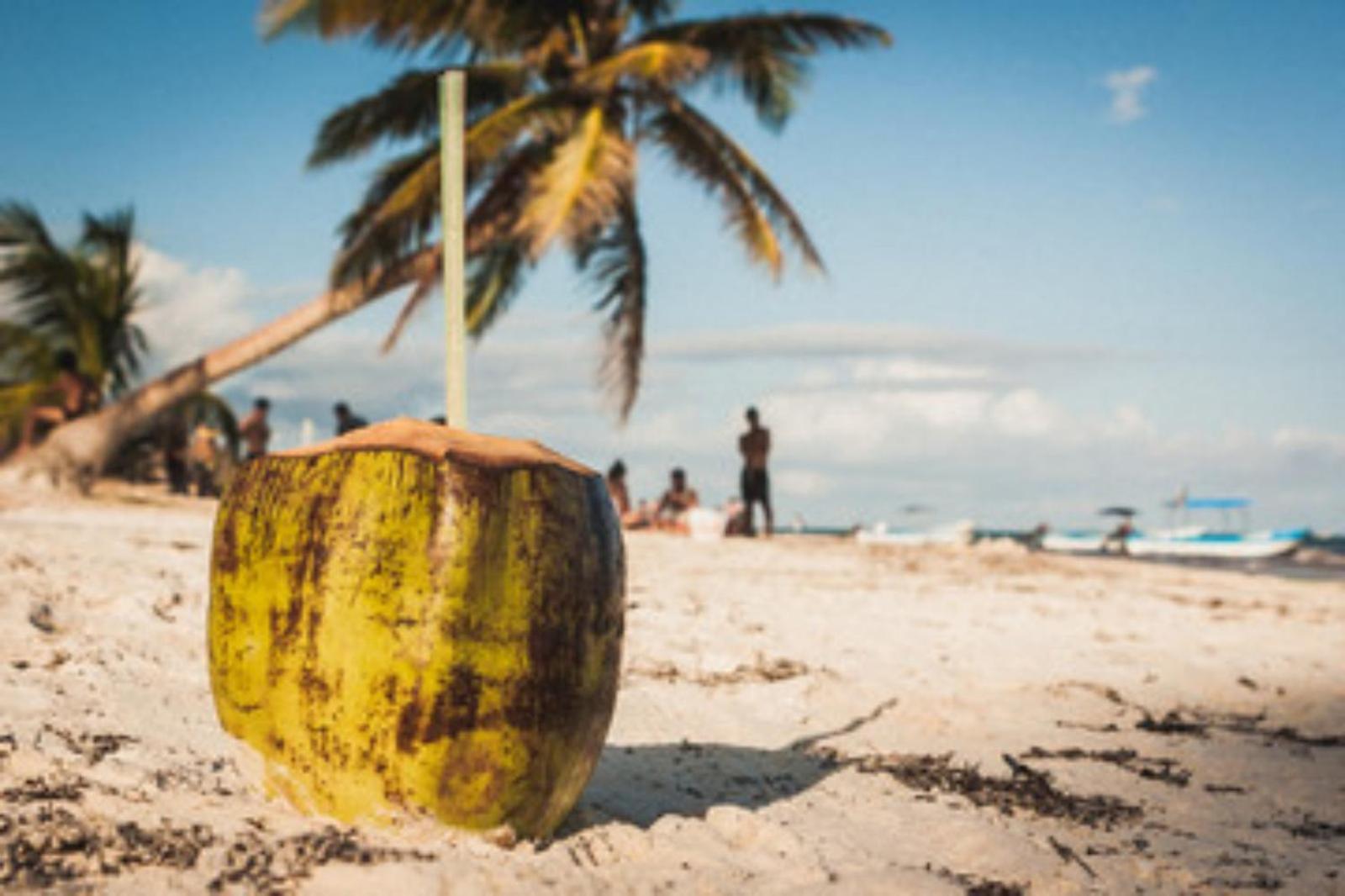 Apartamento Cielito 1 Tulum