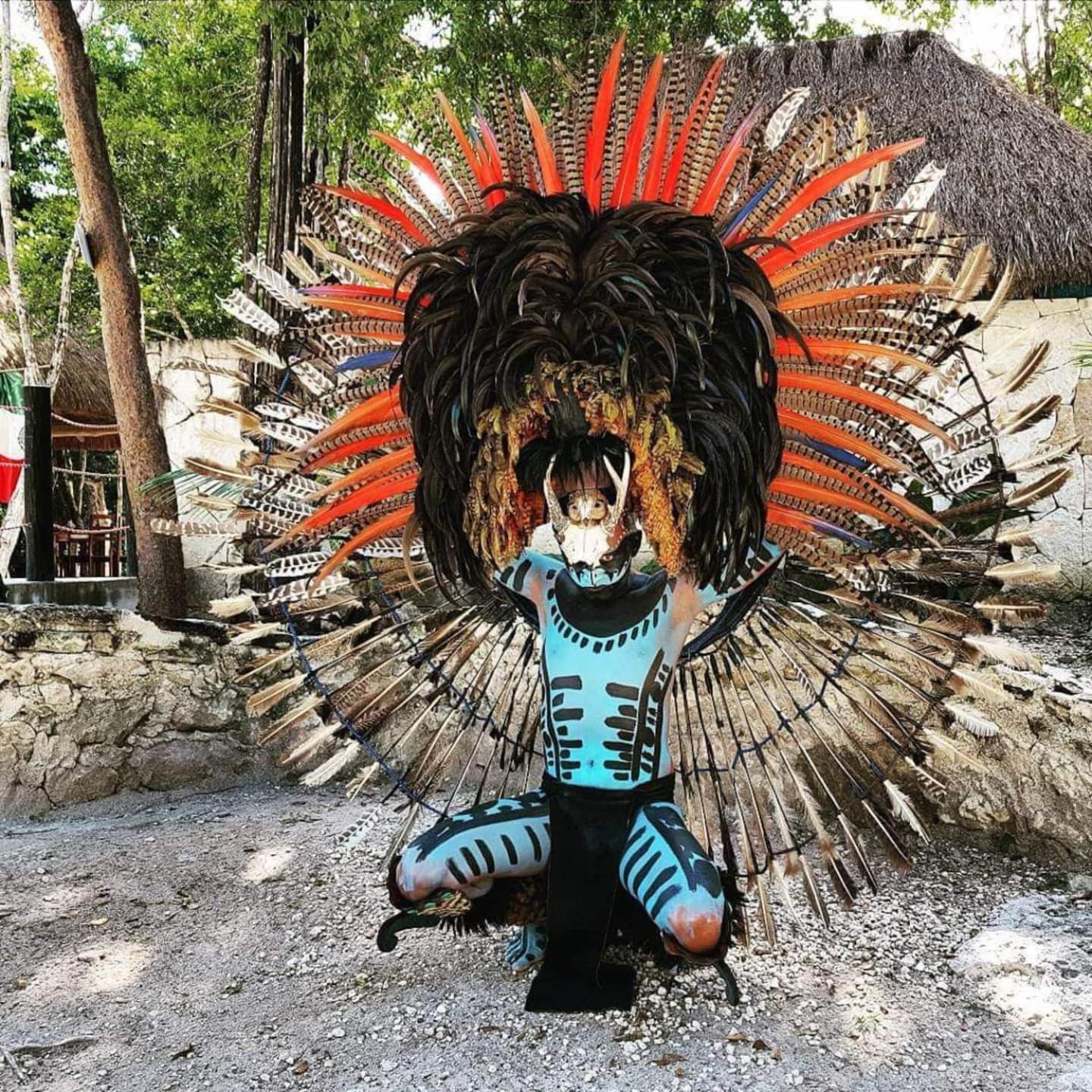 En La Selva De Campo de lujo *