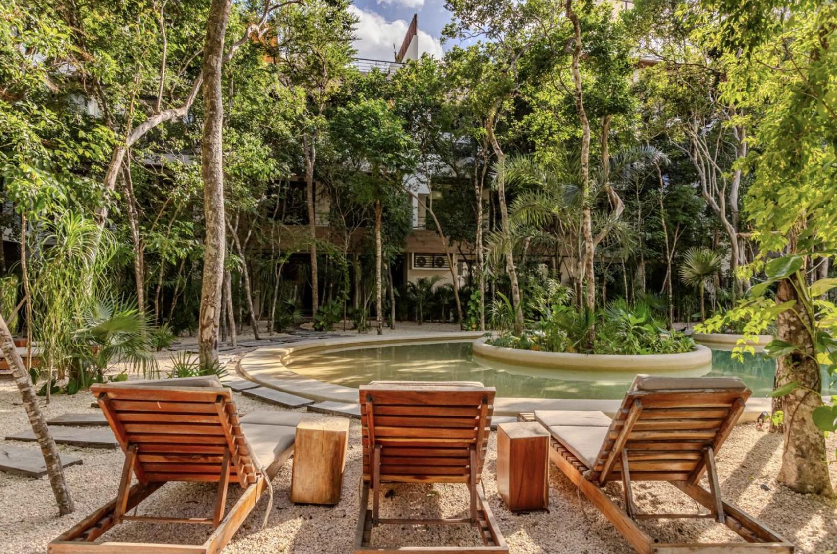 Apartamento Lux Jungle Near
