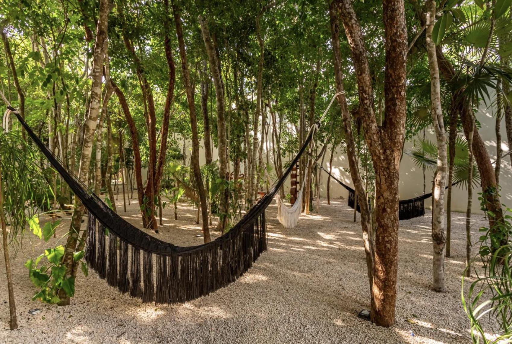Apartamento Lux Jungle Near