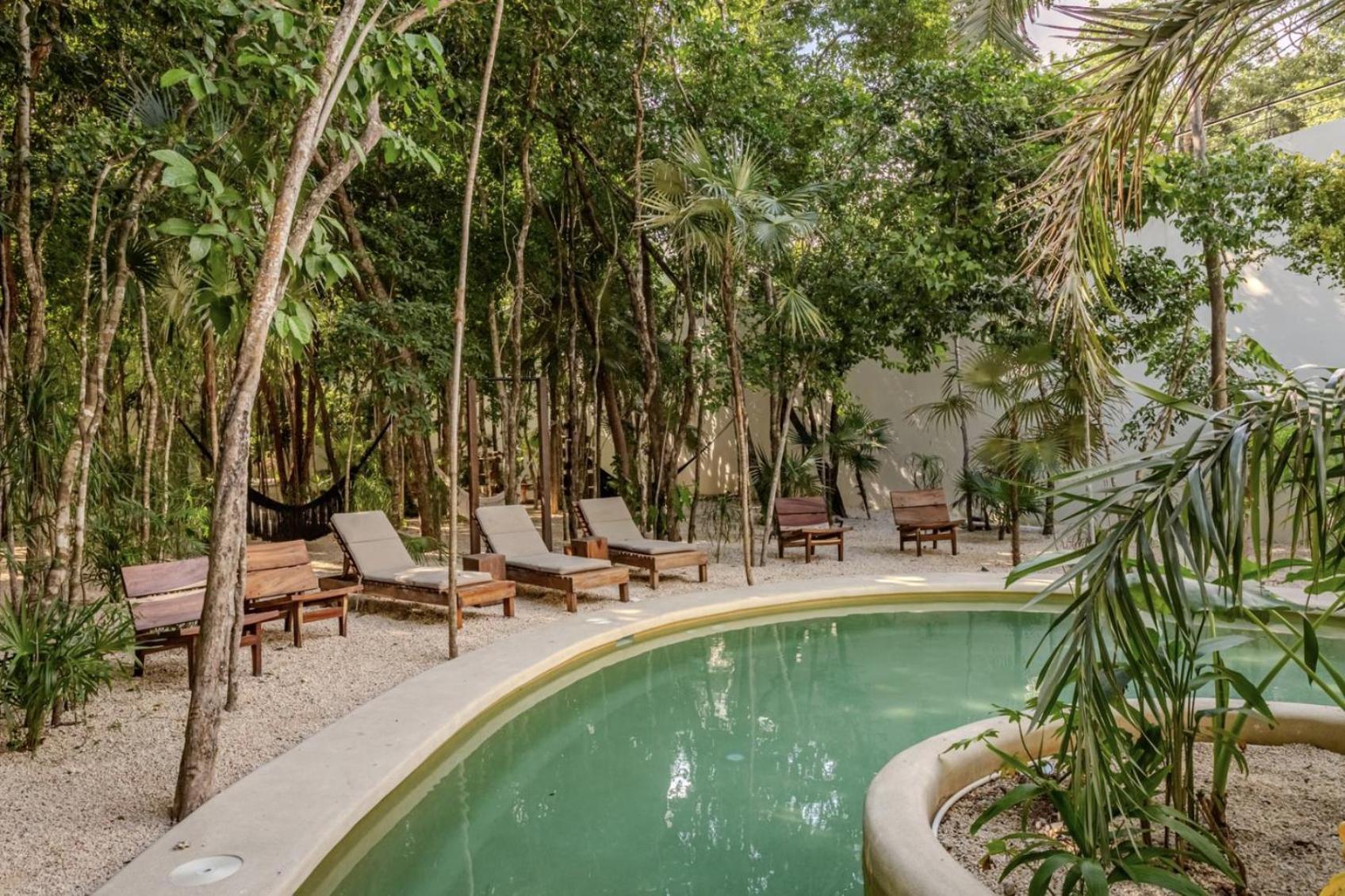 Lux Jungle Near Apartamento Tulum