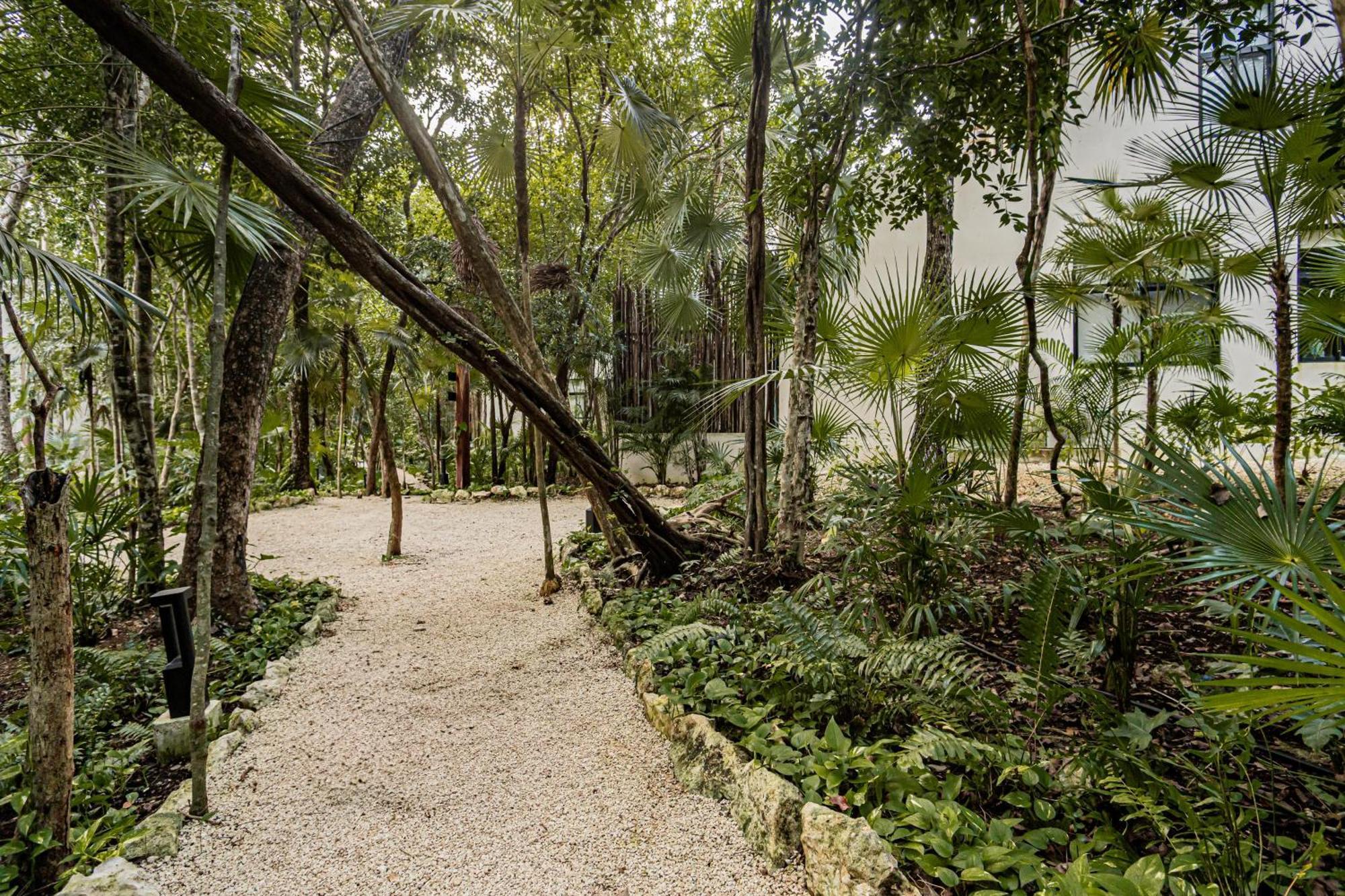 Apartamento Downtown Delight -roof With Pool & Bbq & Jungle Gym