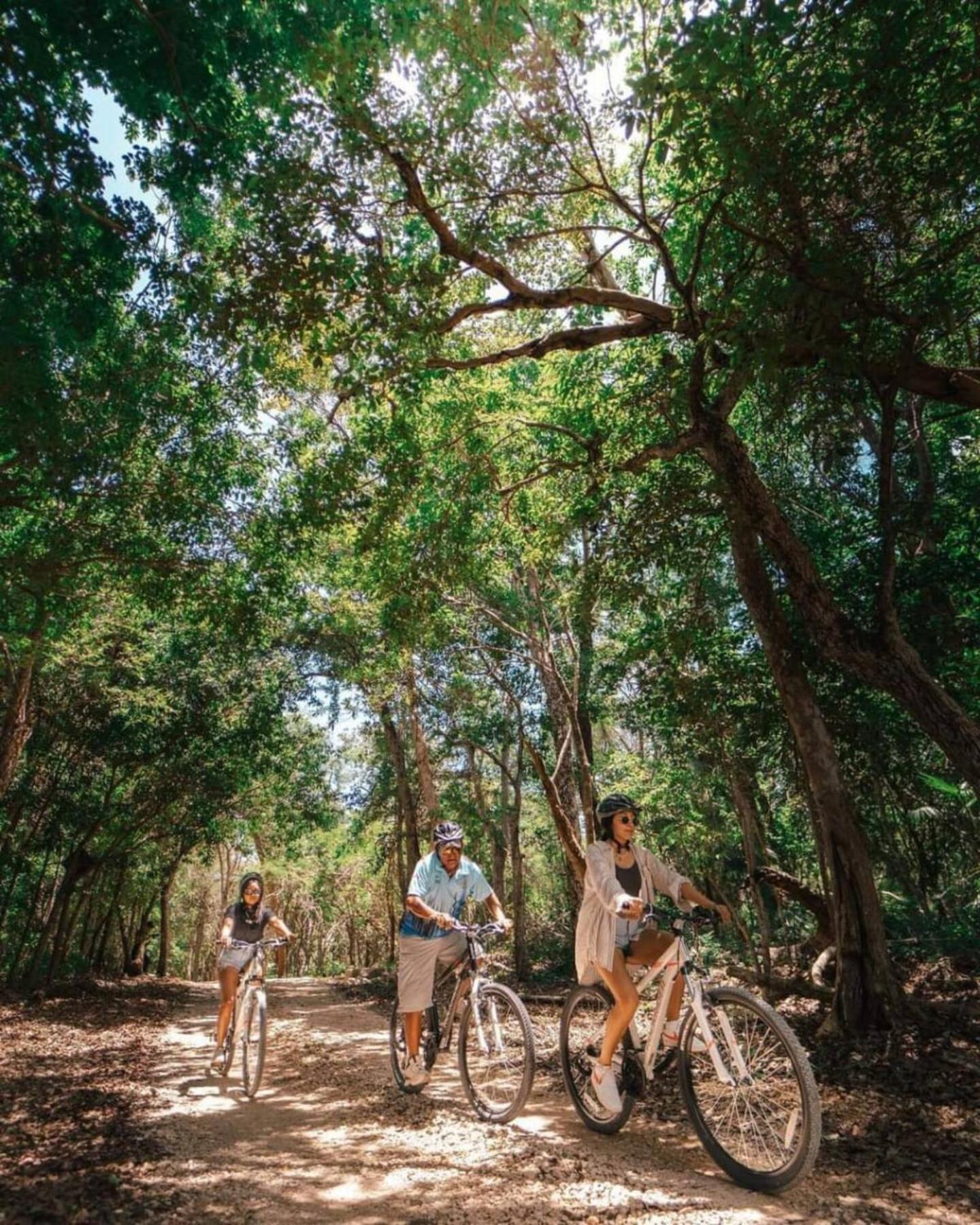 Campo de lujo En La Selva De Tulum