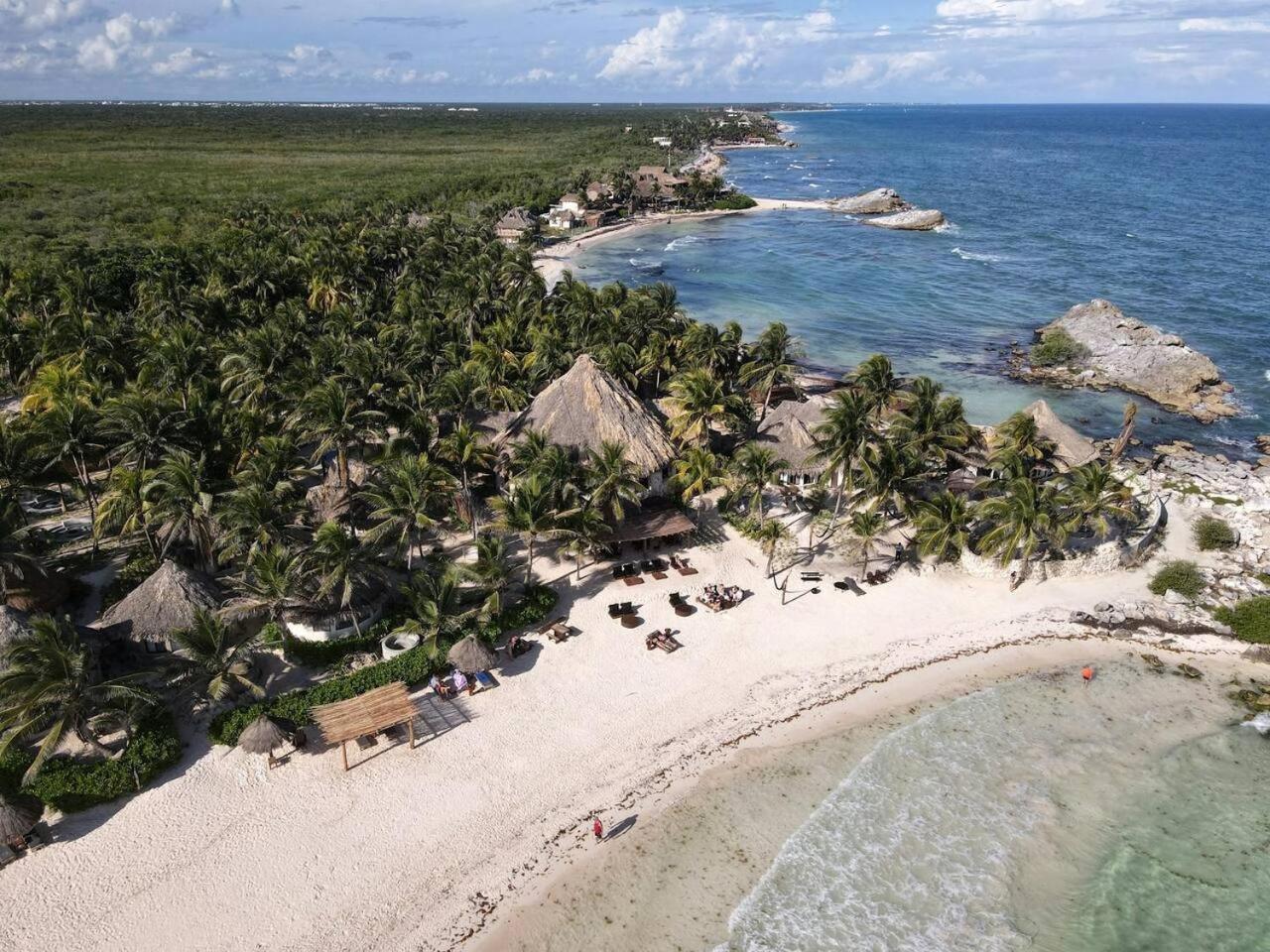 King With Rooftop Pool And Gym Tulum