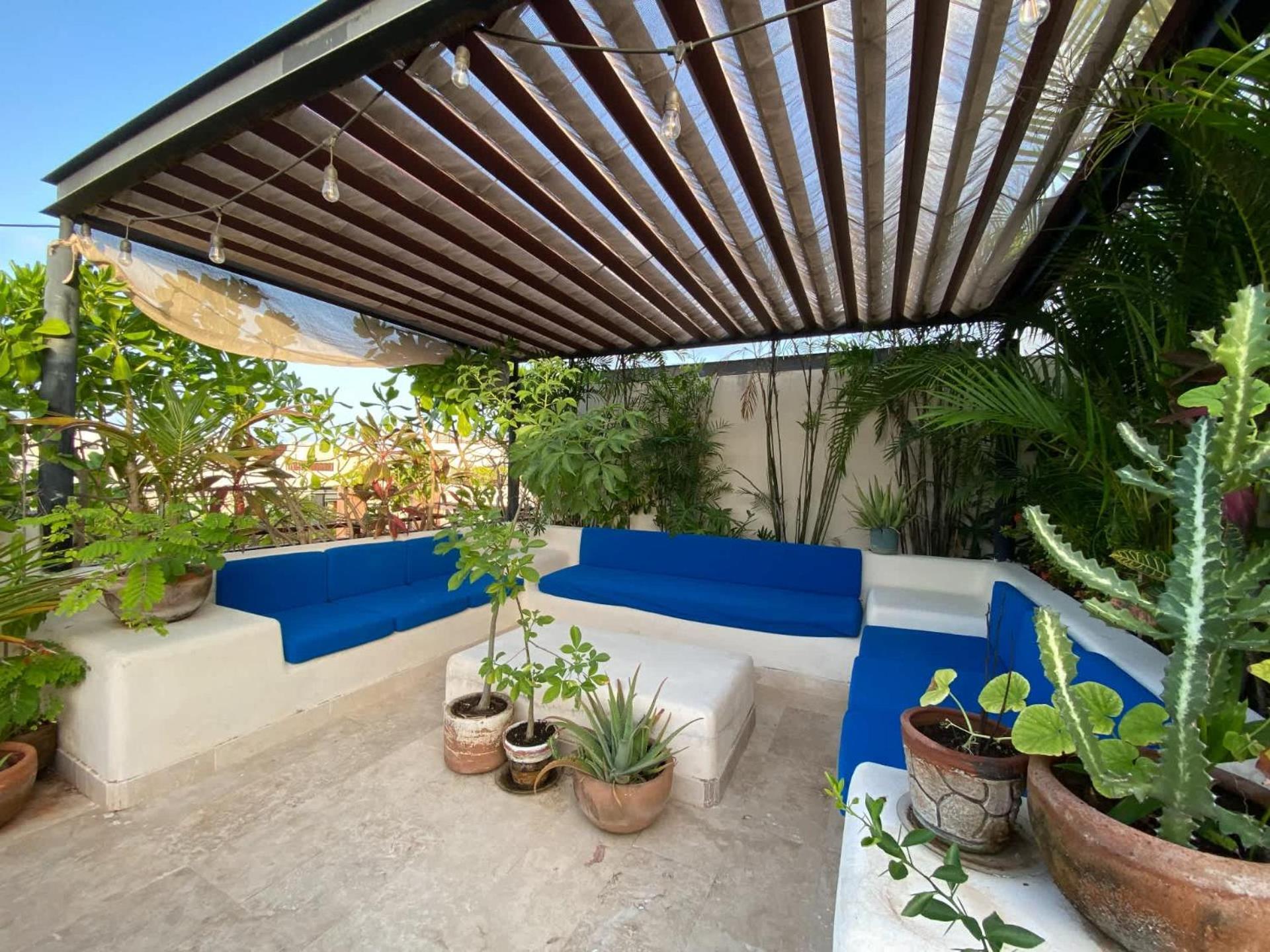 Tropical Haven - Luxury With Private Rooftop Pool And Amazing Pool View Apartamento