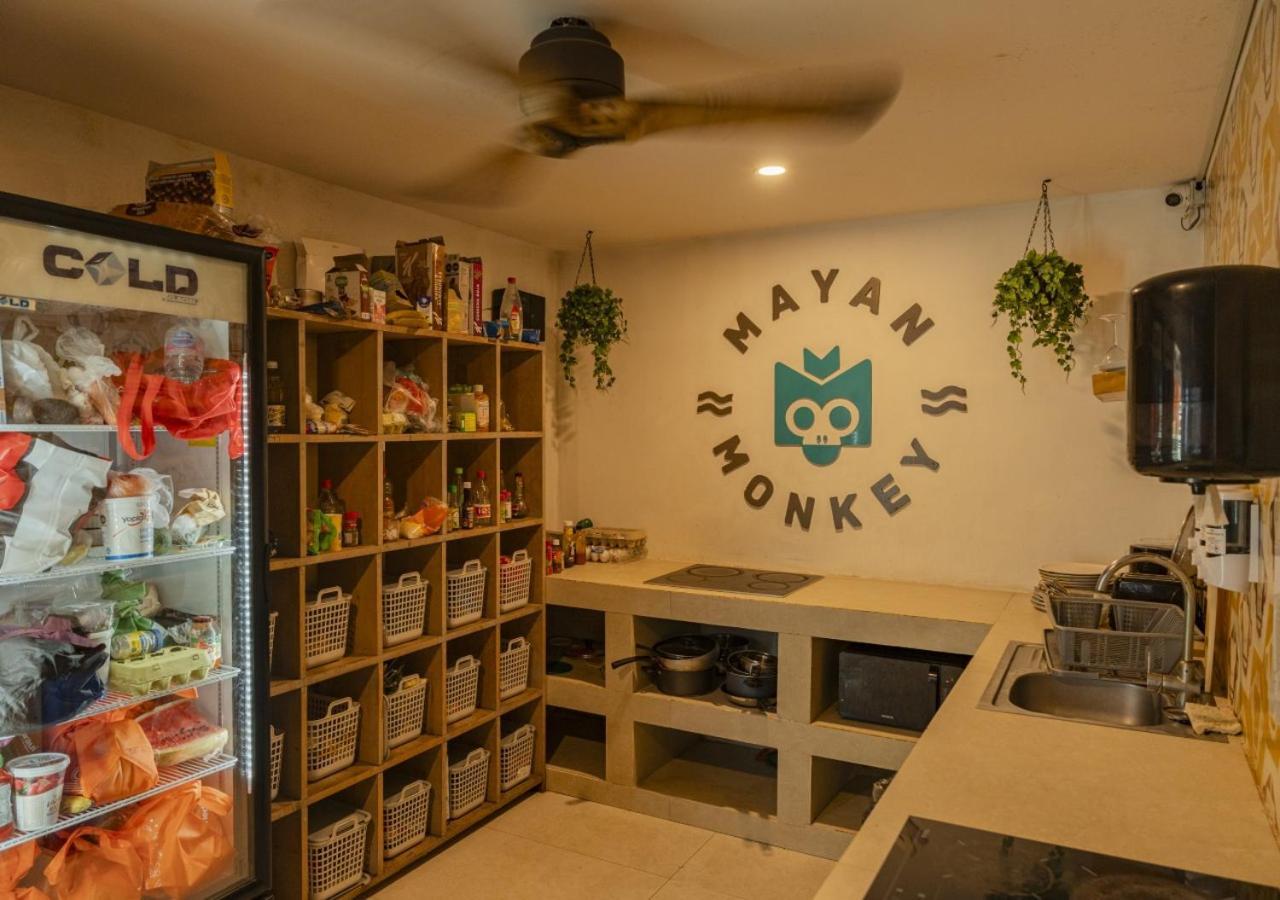 Mayan Monkey - Social (adults Only) Tulum