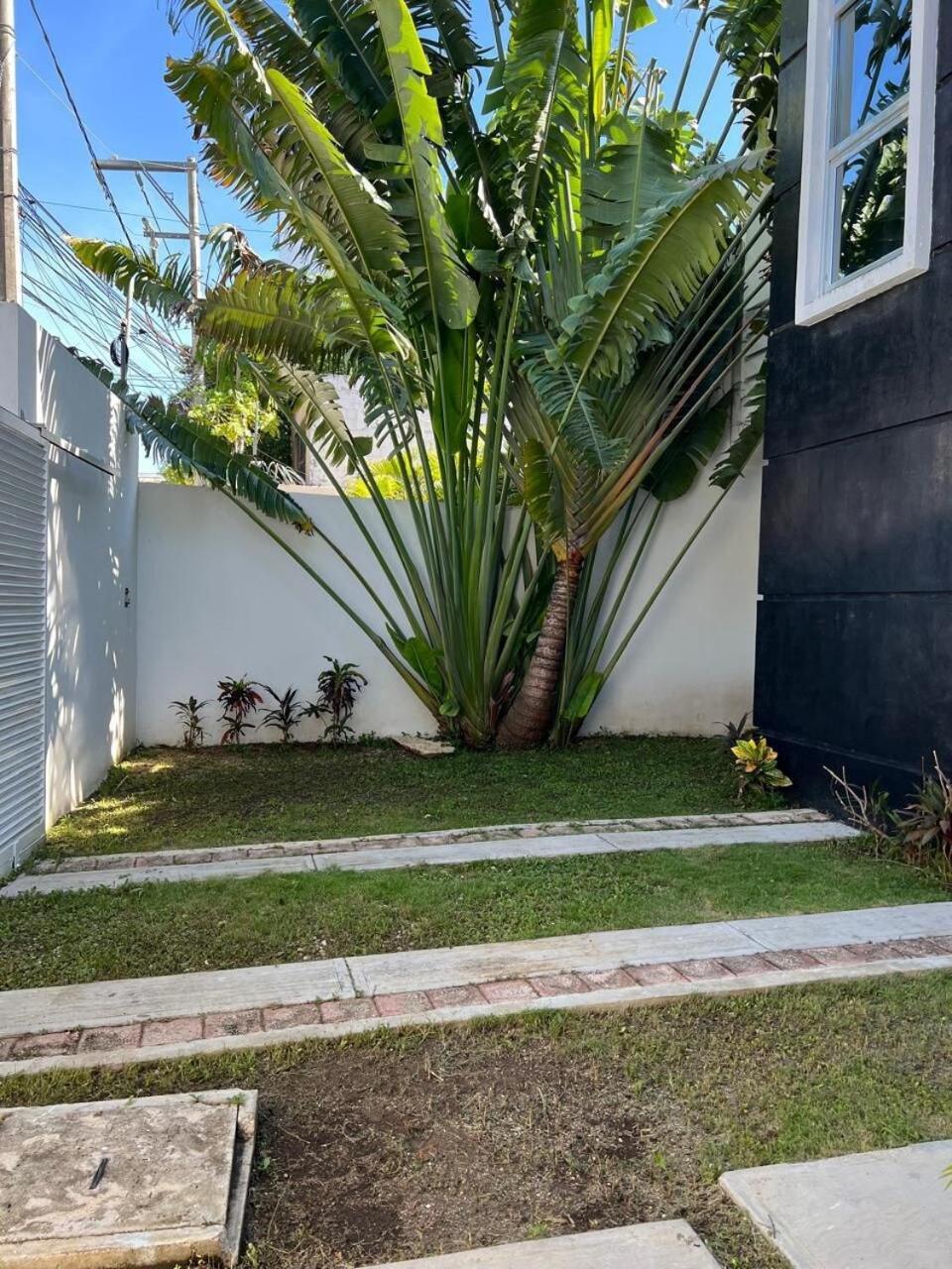 Casa Xul Villa *