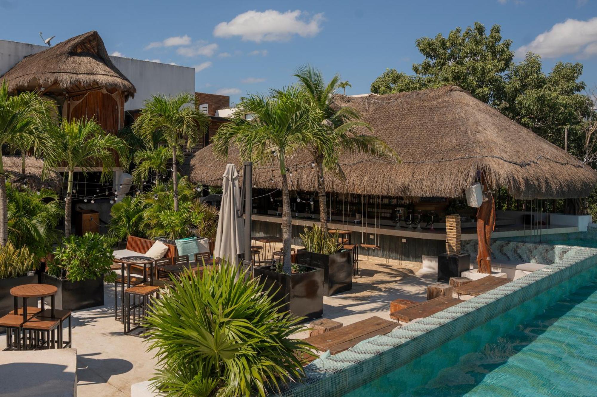 Mayan Monkey - Social (adults Only) * Tulum